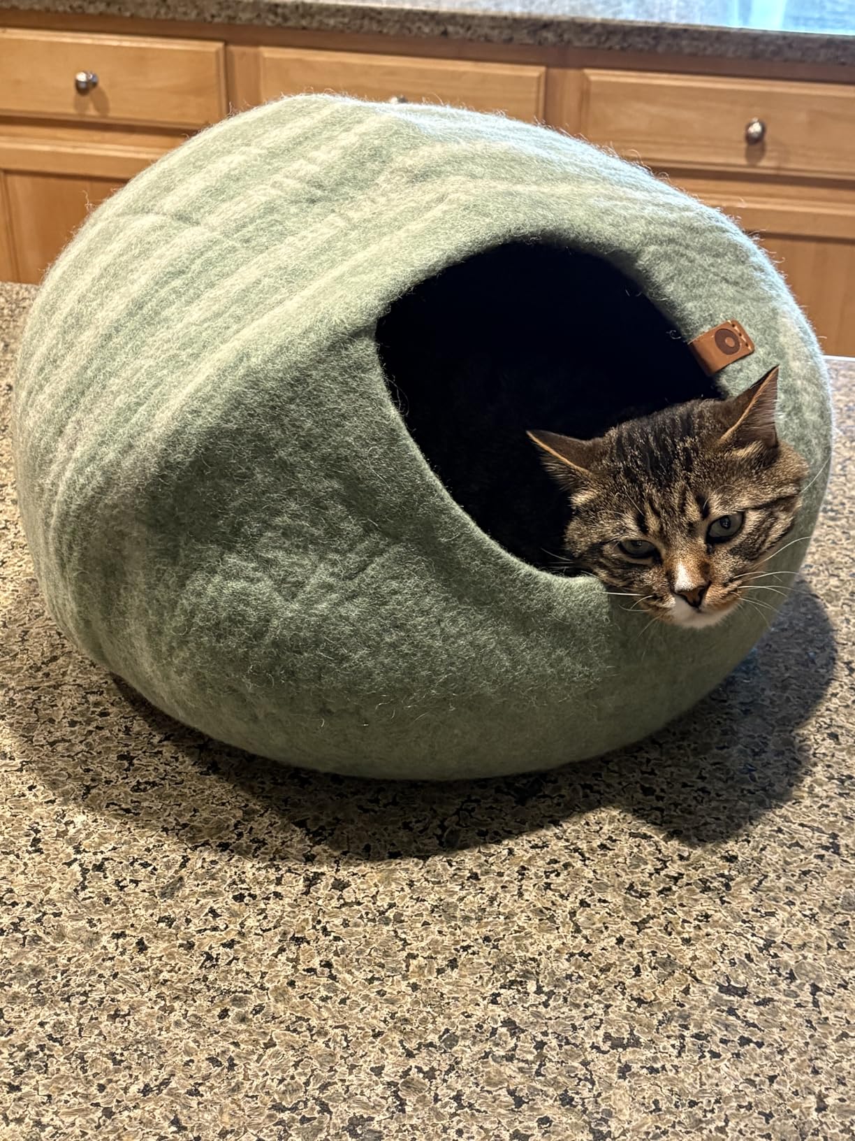 MEOWFIA Cat Cave - Premium Felt Cat Bed for Indoor Cats, Handmade Merino Wool (Light Gray, Medium) customer photo 2