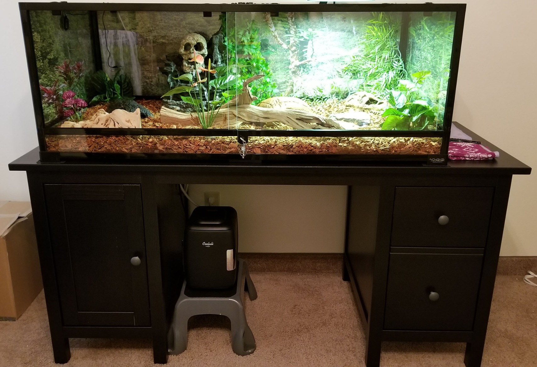Carolina Custom Cages, 48Lx24Wx18H Extra-Long Deep Terrarium; Easy Assembly customer photo 1