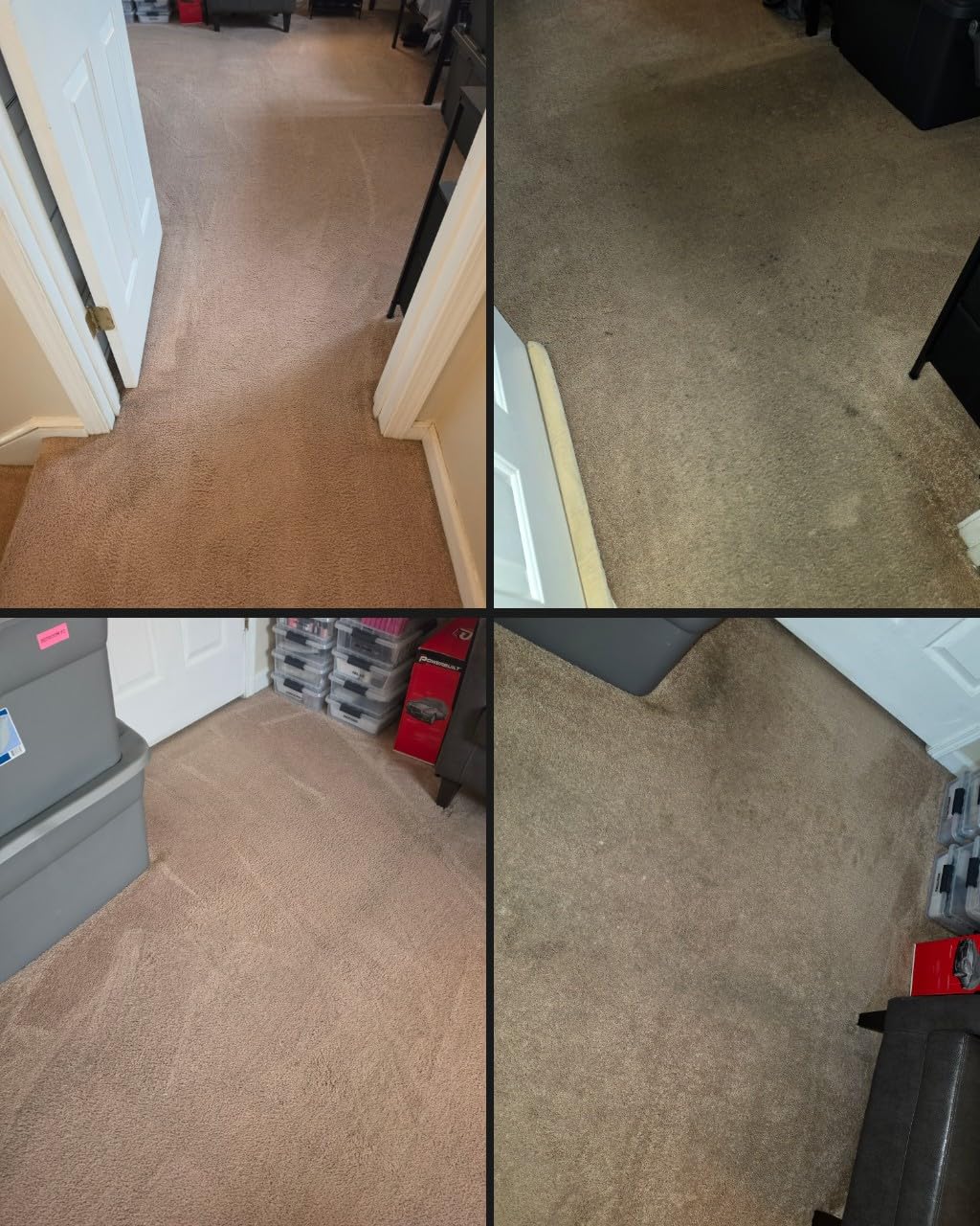 Hoover PowerDash Pet Compact Carpet Cleaner Machine, Lightweight Design customer photo 2