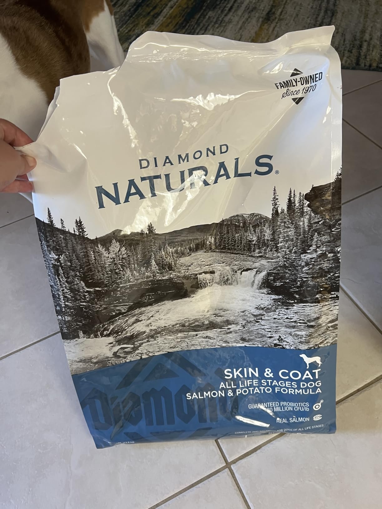 Diamond Naturals Skin & Coat Puppy, Adult & Senior Dry Dog Food Salmon 30lb | Real Salmon & Potato | Omega Fatty Acids Help Support Healthy Skin & Shiny Coat | Guaranteed Probiotics & Superfoods customer photo 2