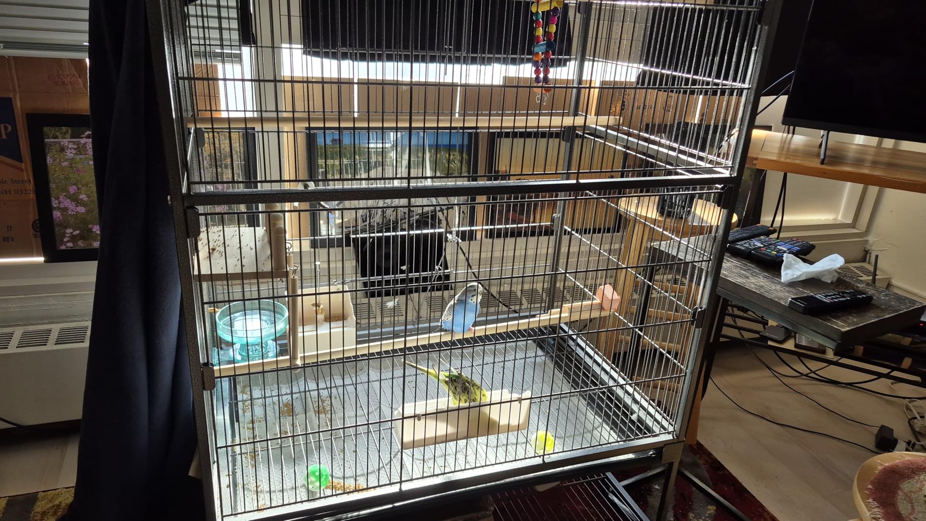 Yaheetech 52'' Bird cage w/Perches & Feeders, Large Birdcage with Pull-Out Tray, Rolling Wheels, Extra Storage, Flight Cage for Cockatiel, Parrot, Parakeet, Conure, Budgie, Pigeon Small/Medium Birds customer photo 1