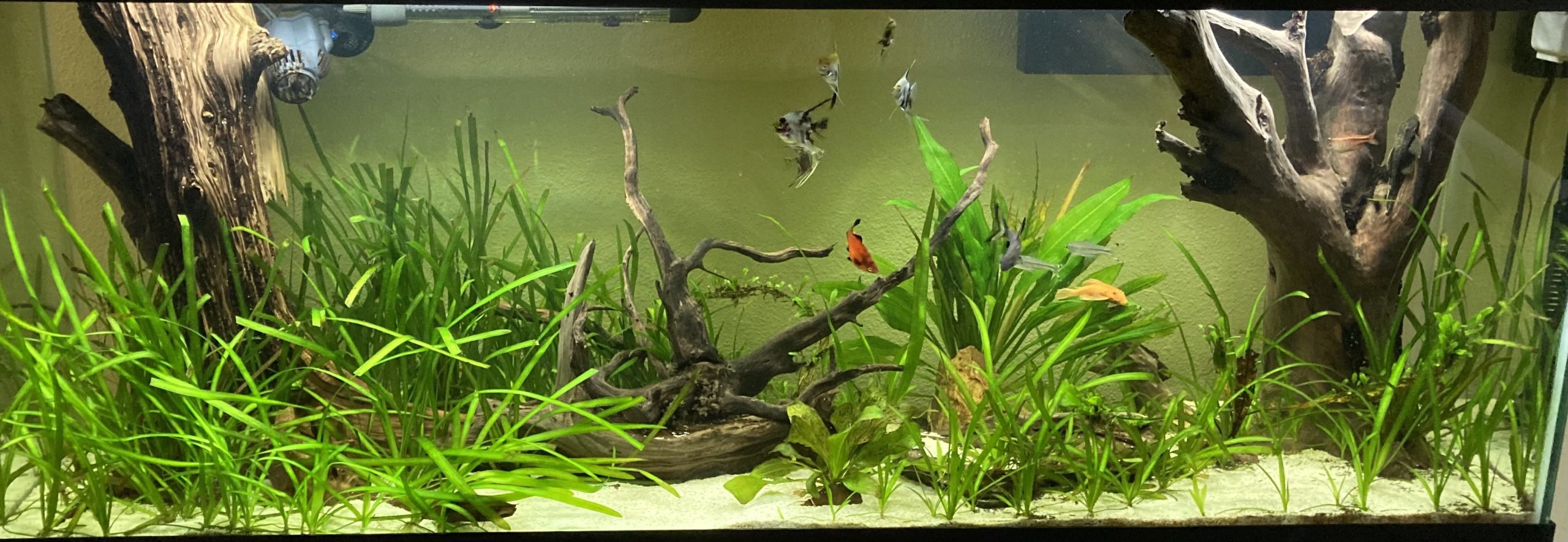 Fluval Plant 3.0 LED Planted Aquarium Lighting, 59 Watts, 48-60 Inches customer photo 2