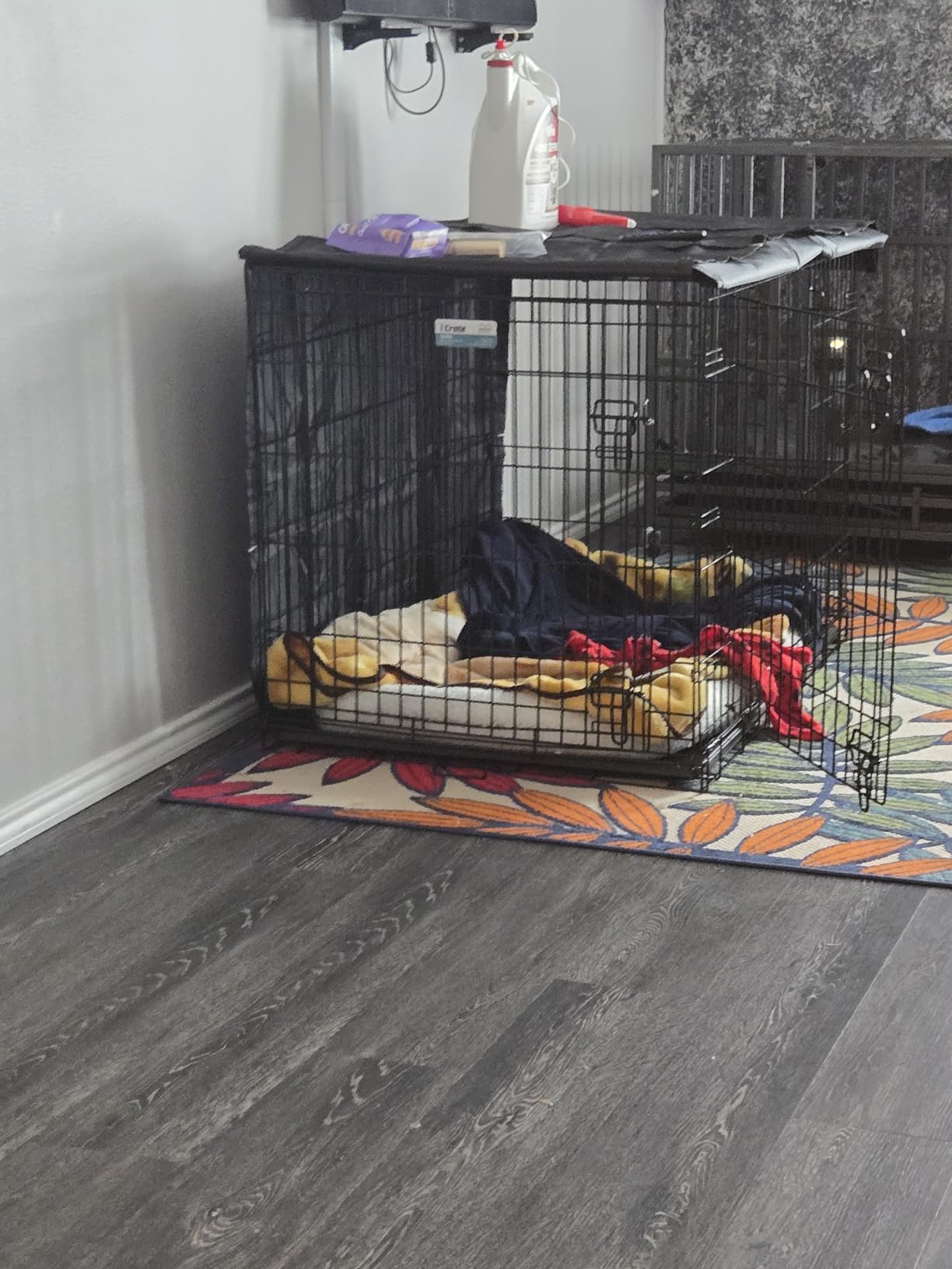 MidWest Homes for Pets Double Door iCrate Starter Kit, 30-inch Dog Crate Bundle for Medium Breeds, Includes Cage, Pet Bed, 2 Bowls and Privacy Cover customer photo 1