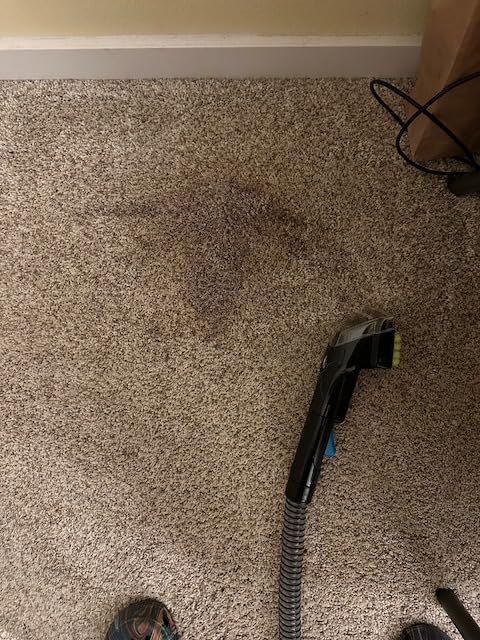 Bissell SpotClean Pet Pro Portable Carpet Cleaner, 2458 customer photo 1