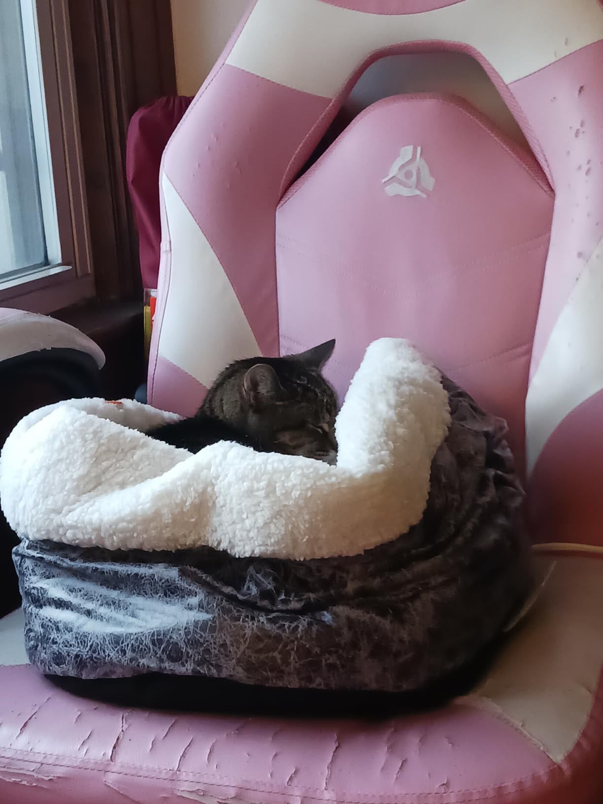 K&H Pet Products Heated Cat Bed Indoor, Thermo-Snuggle Cup Bomber Soft Heated Pet Bed for Large Indoor Cats and Small Dogs, Machine Washable, Waterproof Heated Pad, Safety Listed - 18 X 14in Gray customer photo 2