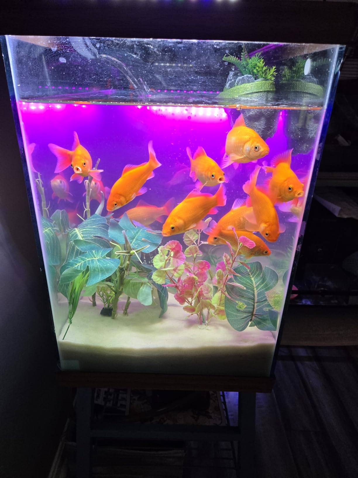 Aqueon QuietFlow Canister Aquarium Filter 100-150 Gallons customer photo 1