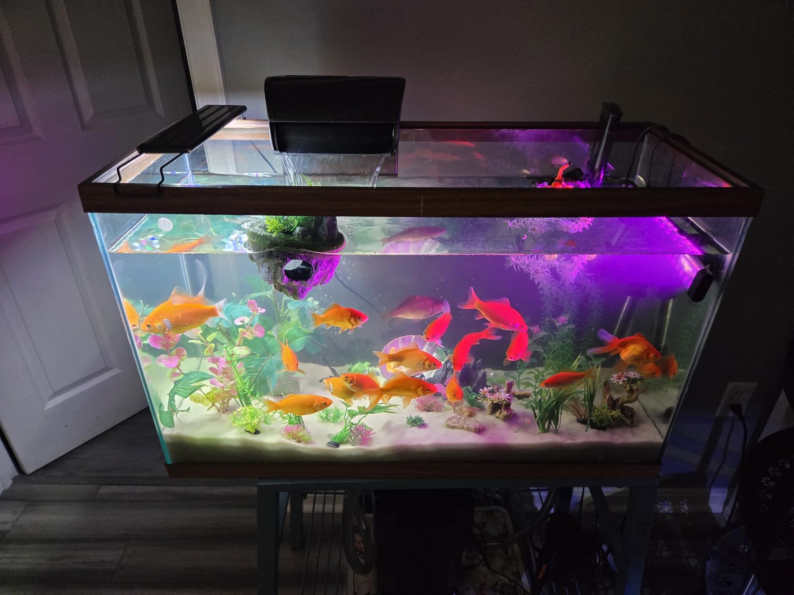 Aqueon QuietFlow Canister Aquarium Filter 100-150 Gallons customer photo 2