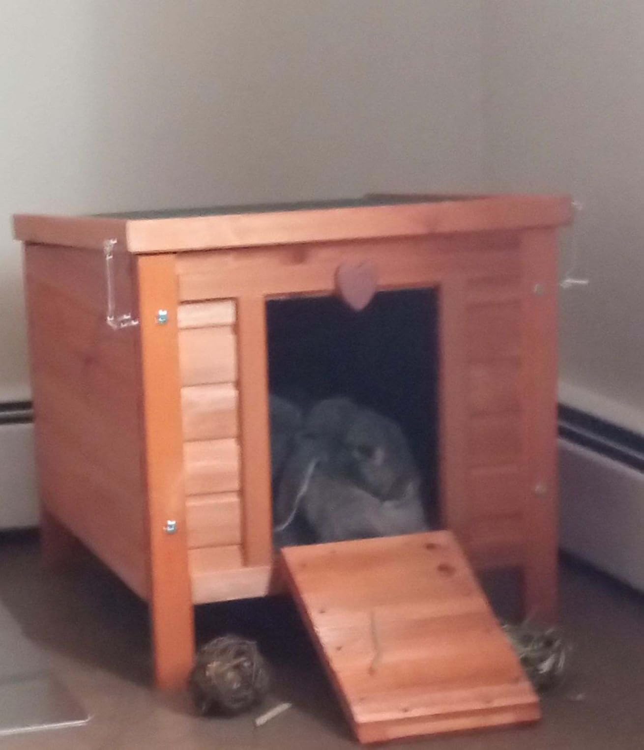 TRIXIE Natura Small Animal House - Outdoor/Indoor Rabbit Hideout with Hinged Roof & Raised Floor - Solid Wood House with 2 Entry Ramps, Weather-Resistant Home for Bunnies & Guinea Pigs, Gray customer photo 1