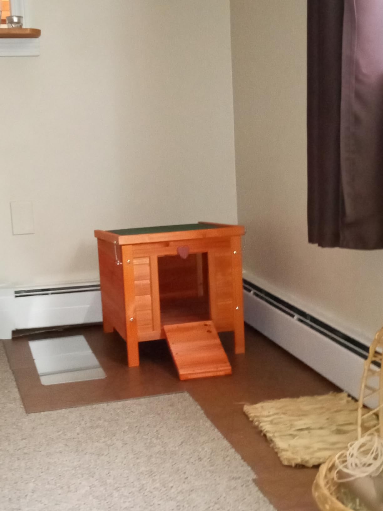 TRIXIE Natura Small Animal House - Outdoor/Indoor Rabbit Hideout with Hinged Roof & Raised Floor - Solid Wood House with 2 Entry Ramps, Weather-Resistant Home for Bunnies & Guinea Pigs, Gray customer photo 2