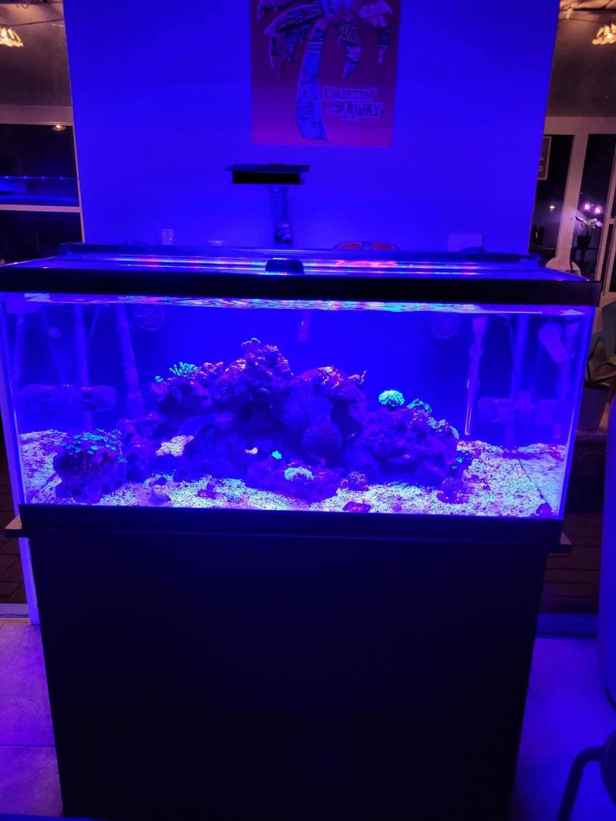 Fluval SEA Marine Nano LED Aquarium Lighting with Bluetooth, 20 Watts, Glass customer photo 2