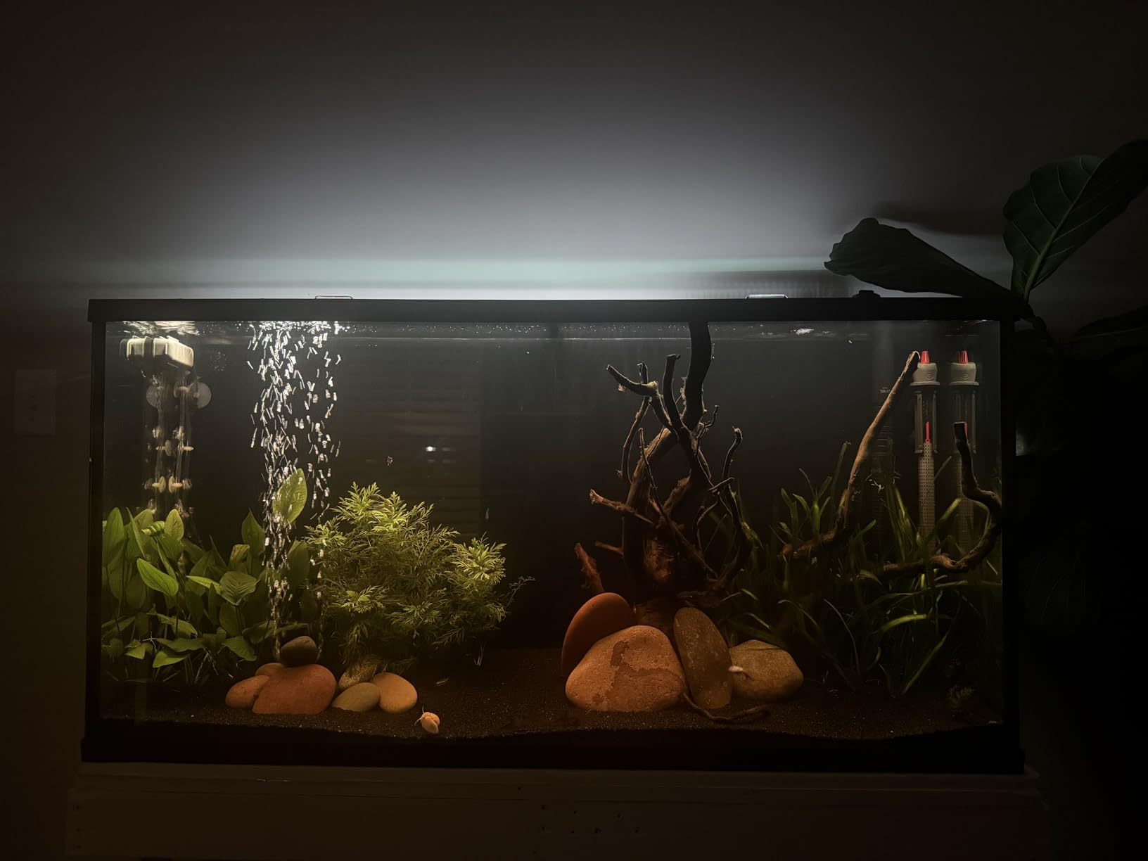 NICREW ClassicLED Plus LED Aquarium Light with Timer, 21 Watts, for 30-36 Inch Fish Tank Light, Daylight and Moonlight Cycle customer photo 1