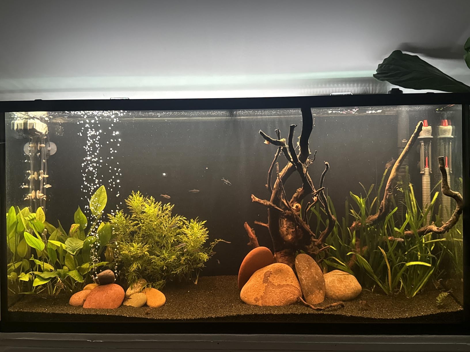 NICREW ClassicLED Plus LED Aquarium Light with Timer, 21 Watts, for 30-36 Inch Fish Tank Light, Daylight and Moonlight Cycle customer photo 2