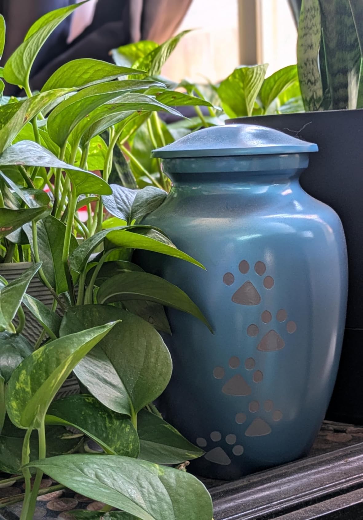Trupoint Memorials Large Pet Urn for Dogs and Cats Ashes, Paws Print Grey Cremation Urns for Pets up to 122 lbs customer photo 1