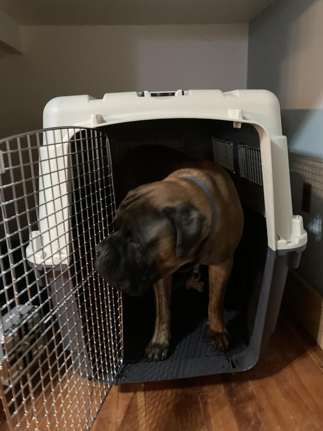 SportPet Airline Compliant MEDIUM 24.25