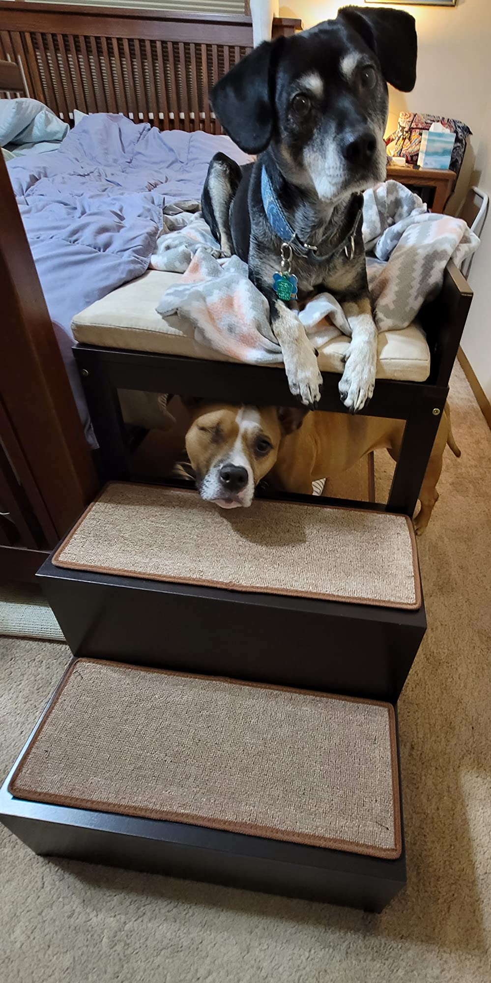 Penn-Plax Buddy Bunk Multi-Level Bed | Pet Stairs for High Beds and Couches | 3 Step System for Small Sized Dogs and Cats | Practical and Accommodating for Modern Homes customer photo 1