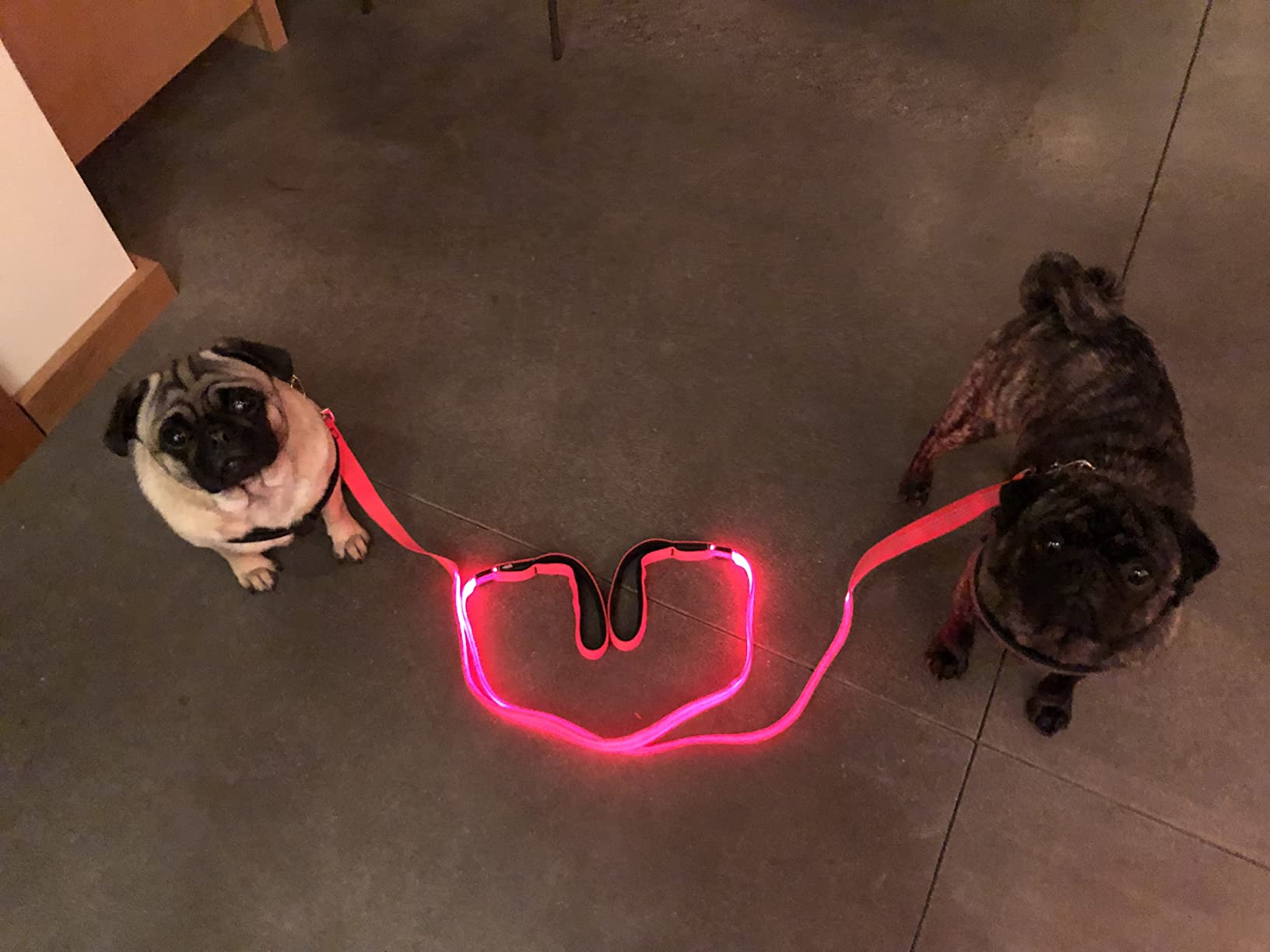 Candofly Glowing LED Dog Leash, Rechargeable Pet Leash with Lights, 4 Ft Light Up Dog Leash for Night Walking Keep Your Pets Visible (Neon Green) customer photo 2