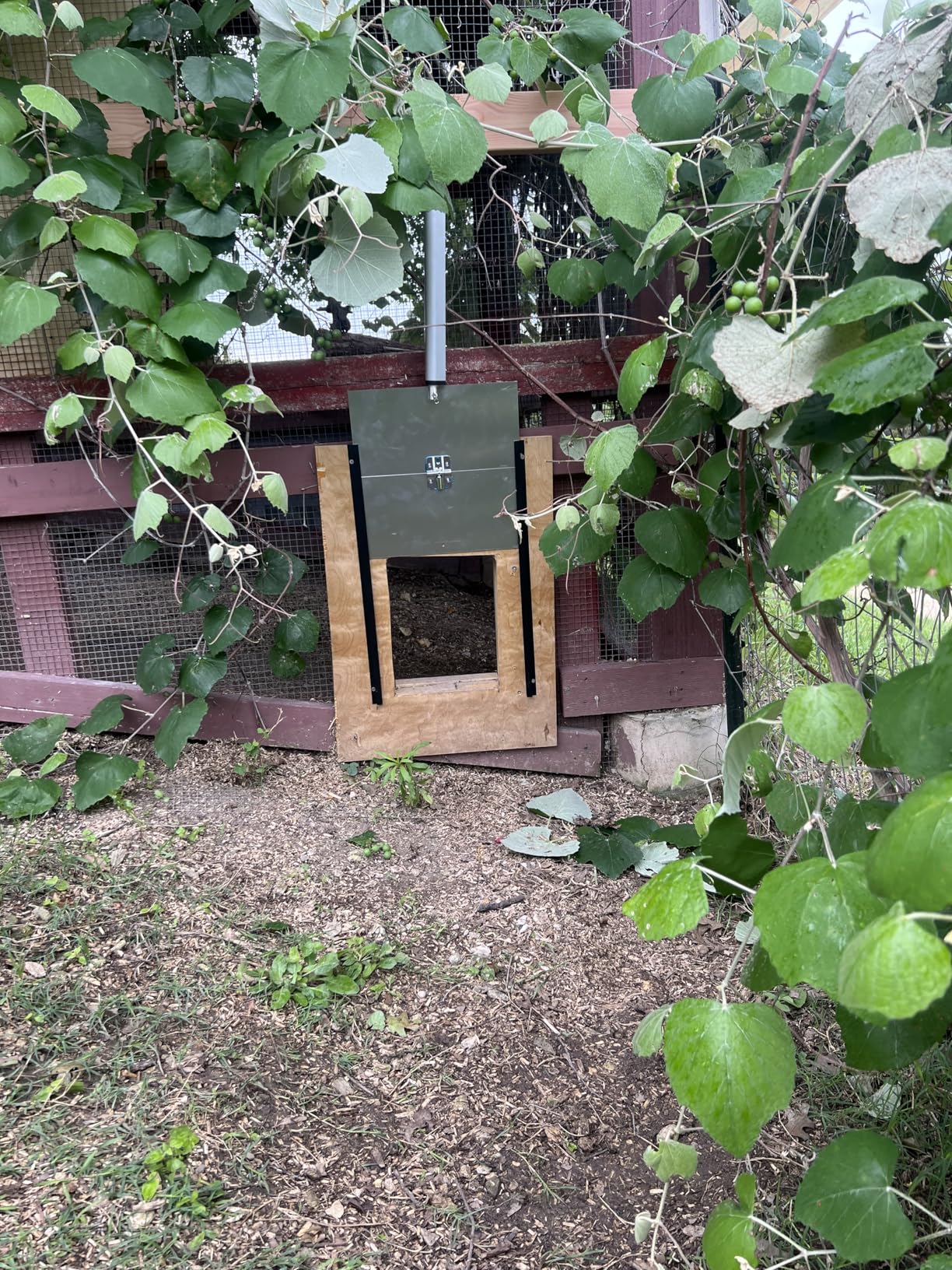 JVR Automatic Chicken Coop Door with Timer & Anti-Pinch Sensor | Heavy duty aluminum, 11