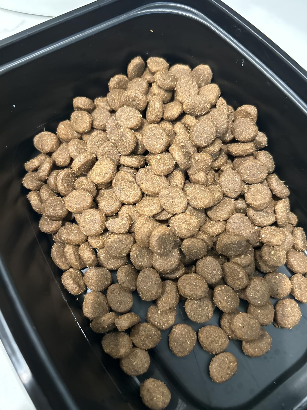 Taste of the Wild High Prairie Adult Dry Dog Food, Roasted Bison, 14lb | High Protein | Grain Free Recipe* | Nutrient Dense to Help Support Peak Health | Guaranteed Probiotics for Digestive Health customer photo 2
