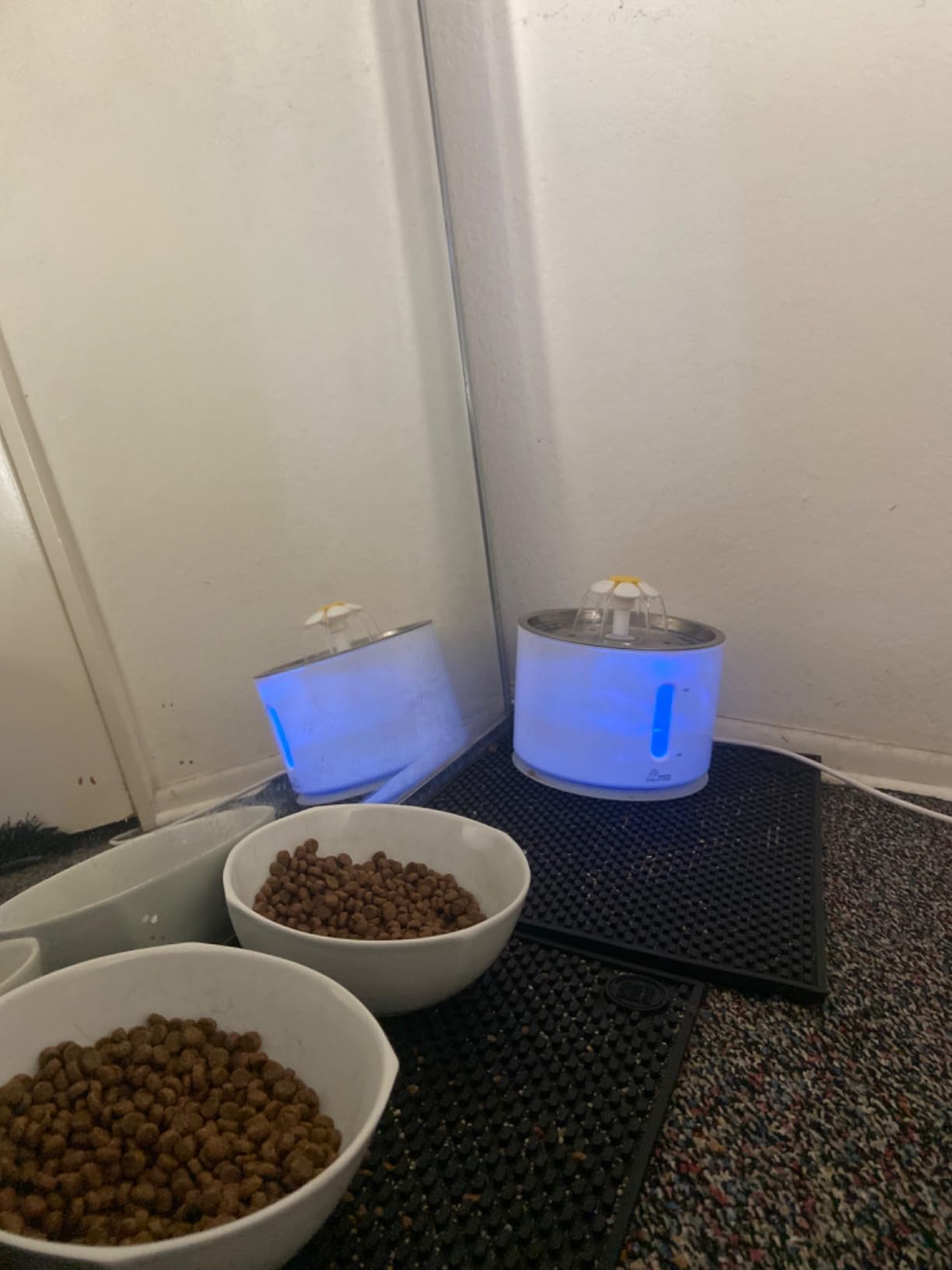Wonder Creature Cat Water Fountain with Stainless Steel Lid, 2.4L/81oz Automatic Cat Fountain with LED Light and Water Level Window customer photo 1
