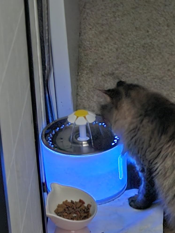 Wonder Creature Cat Water Fountain with Stainless Steel Lid, 2.4L/81oz Automatic Cat Fountain with LED Light and Water Level Window customer photo 2