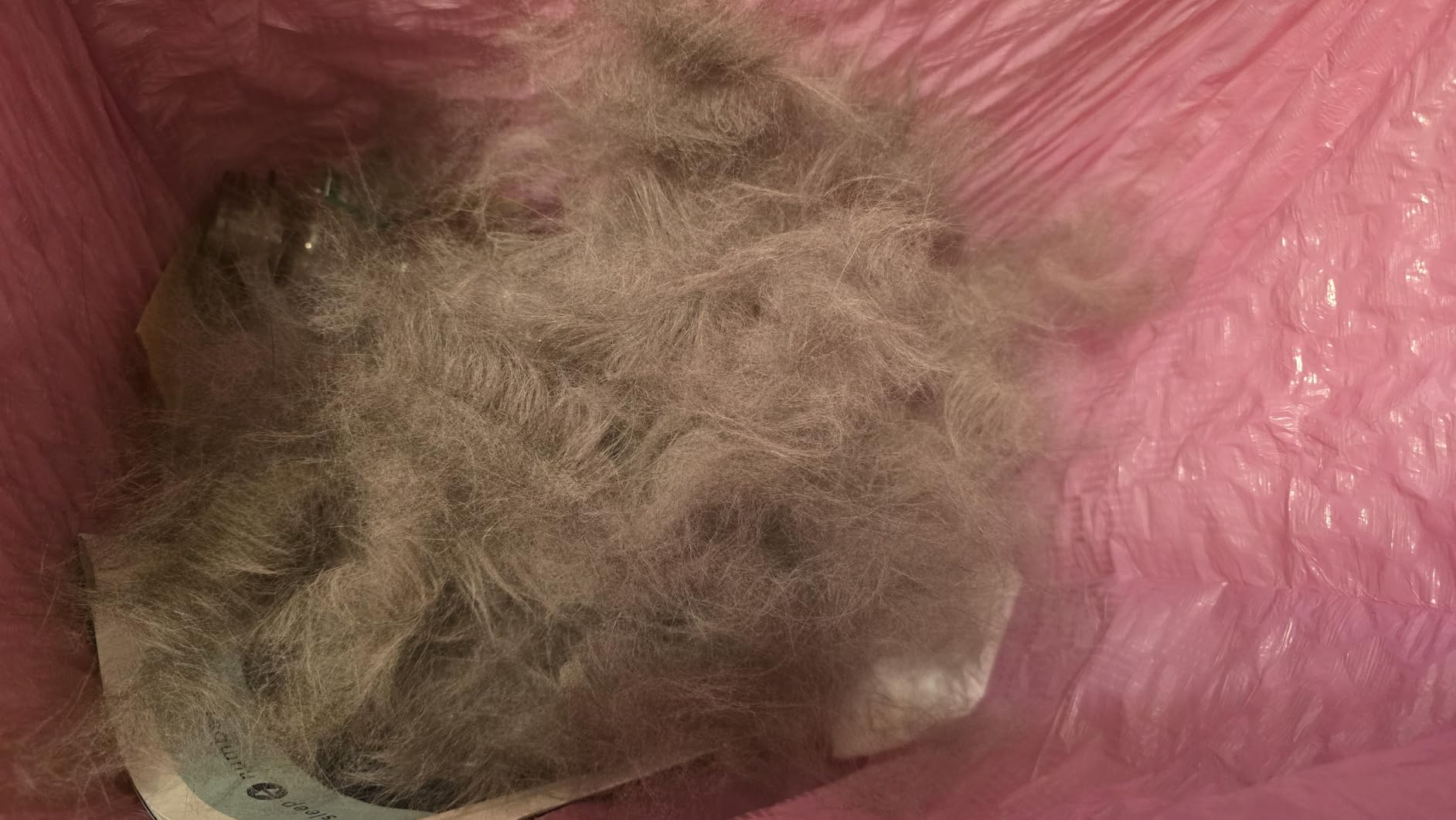 FURminator deShedding Tool For Medium/Large Cats, Long Hair, Removes Loose Hair From Shedding customer photo 1
