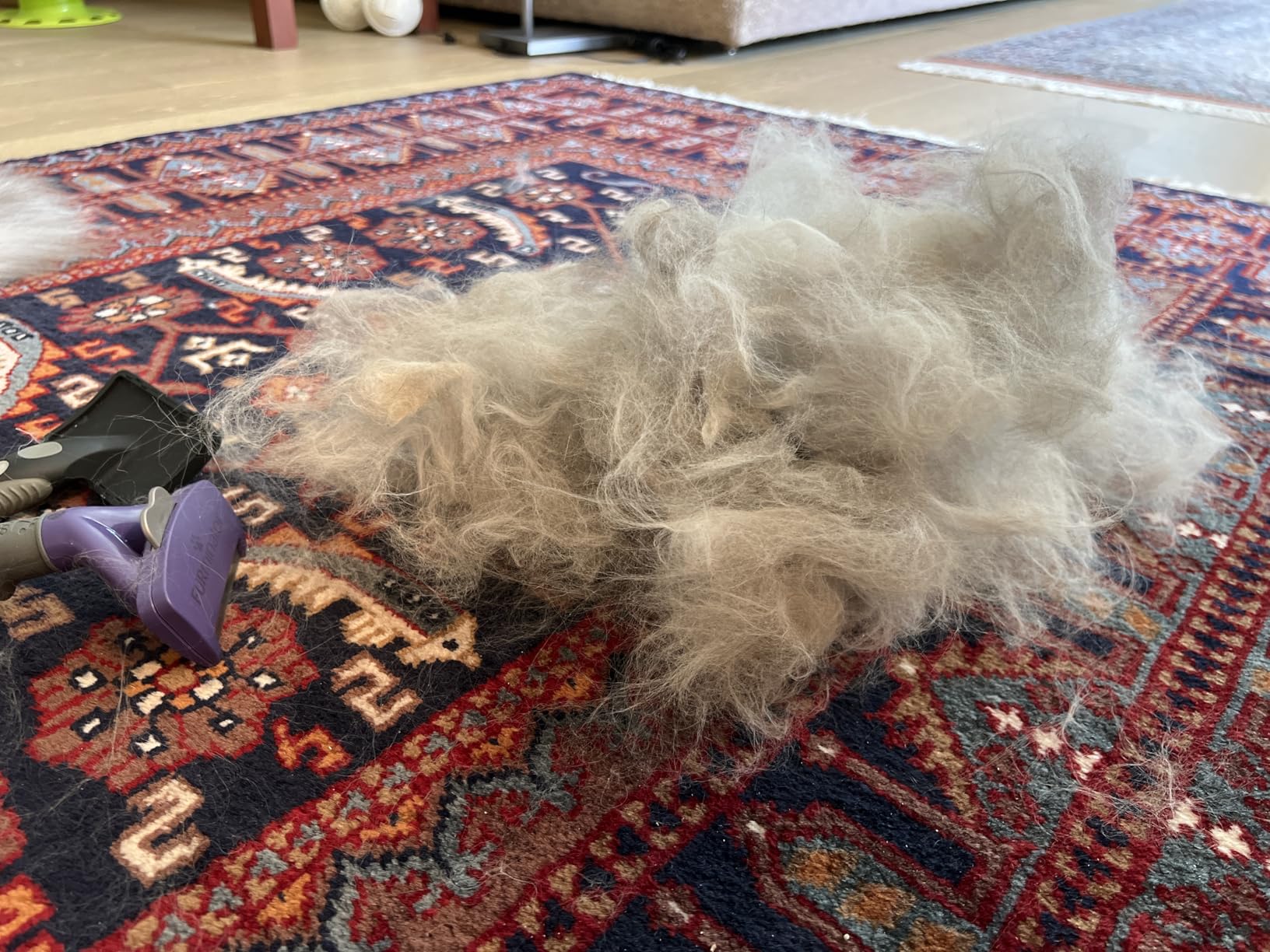 FURminator deShedding Tool For Medium/Large Cats, Long Hair, Removes Loose Hair From Shedding customer photo 2