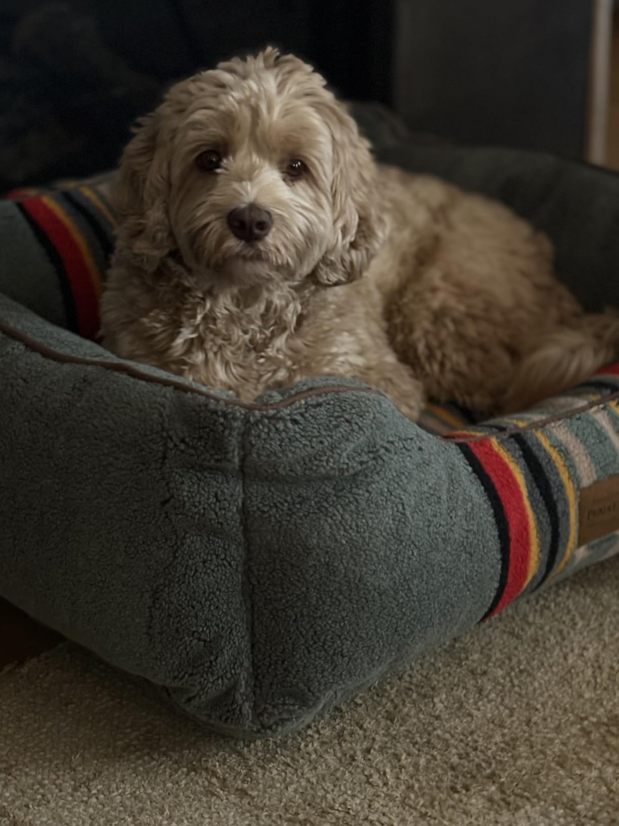 Pendleton Vintage Camp Berber Kuddler Dog Bed - Umber, Large (36