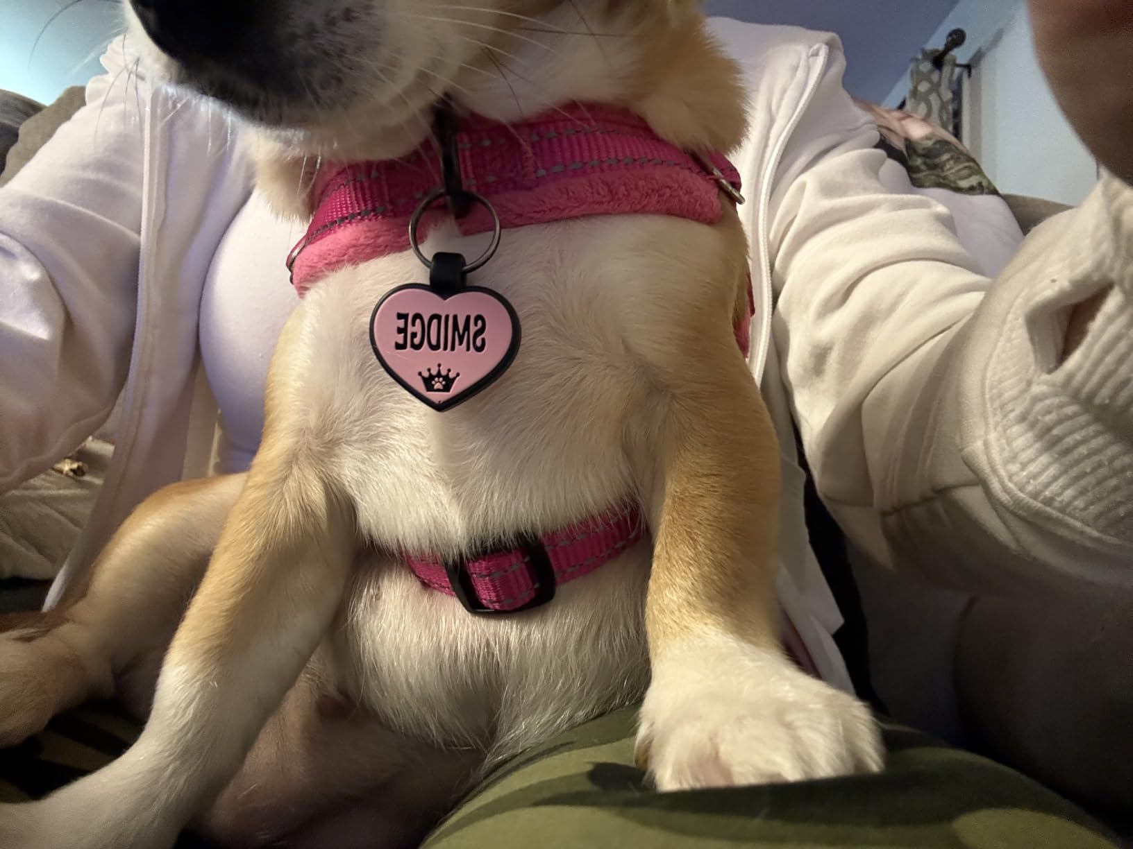 SlowTon No Pull Small Dog Harness and Leash Set, Puppy Soft Vest Harness Neck & Chest Adjustable, Reflective Lightweight Harness & Anti-Twist Pet Lead Combo for Small Medium Dogs (Fuchsia, XXS) customer photo 1