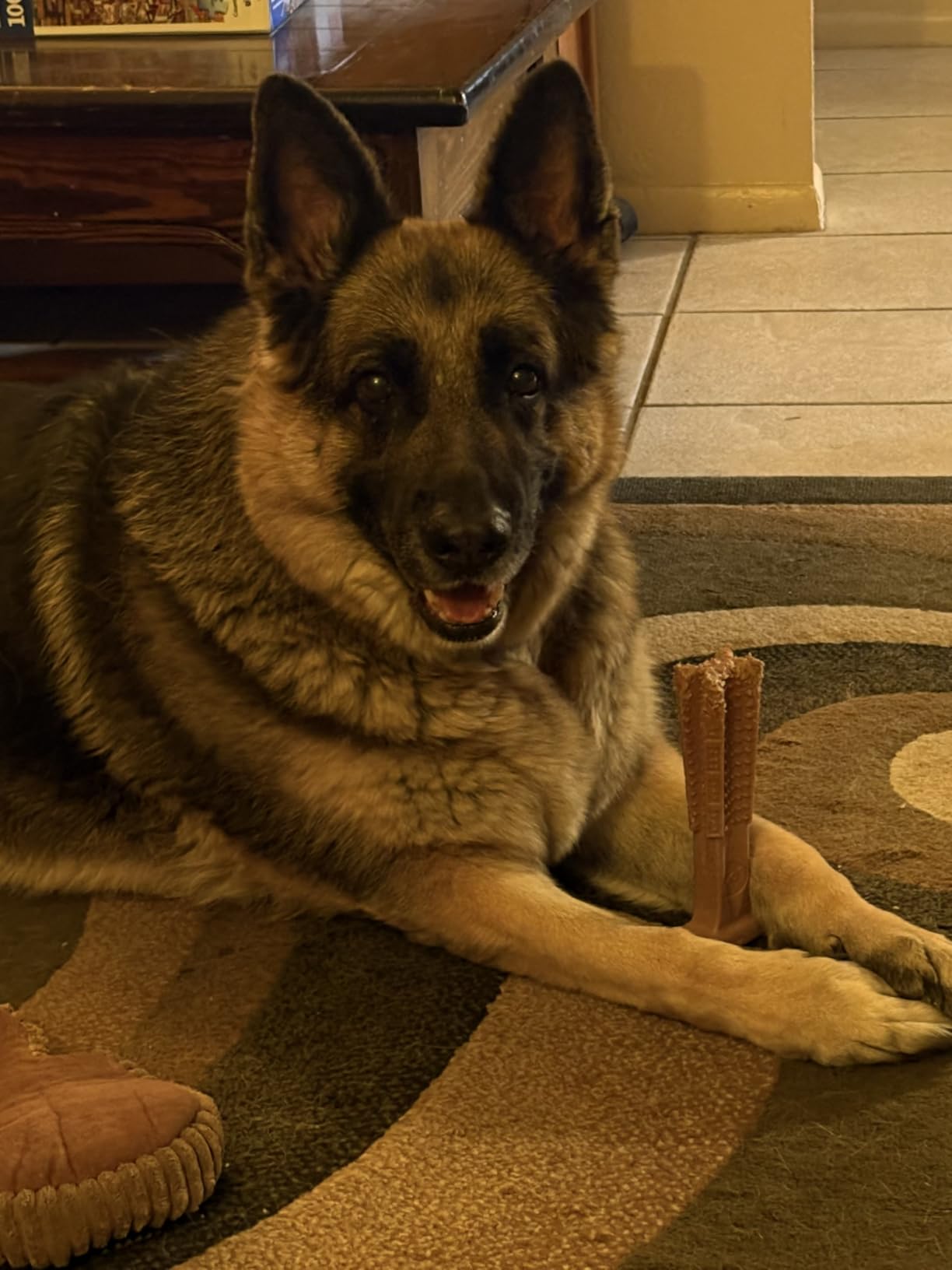SPOT Bam-Bones Plus T Bone - Bamboo Fiber & Nylon Dog Chew Toy for Moderate to Aggressive Chewers, Durable & Non-Splintering, Long Lasting Beef Flavor Toy for Dogs & Puppies Under 30 lbs, 4 in customer photo 2