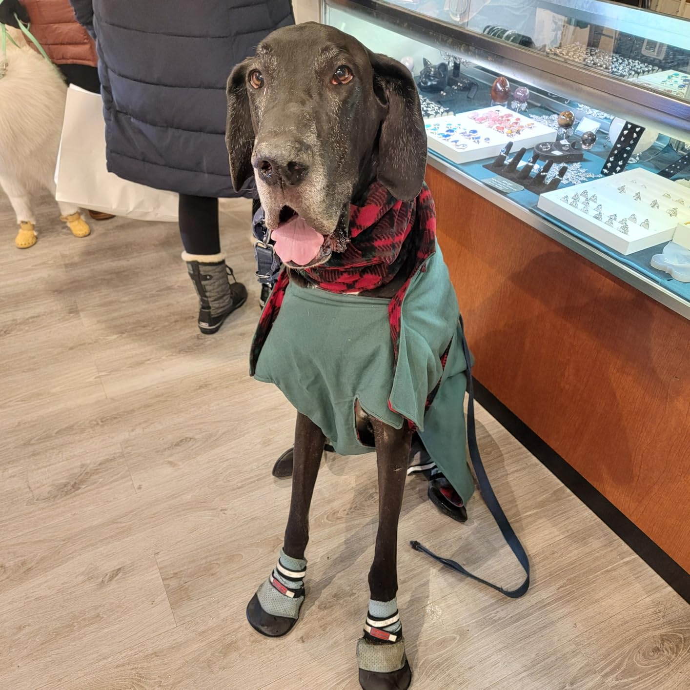 Bark Brite Lightweight Neoprene Paw Protector Dog Boots Designed for Comfort and Breathability in 5 Sizes customer photo 2