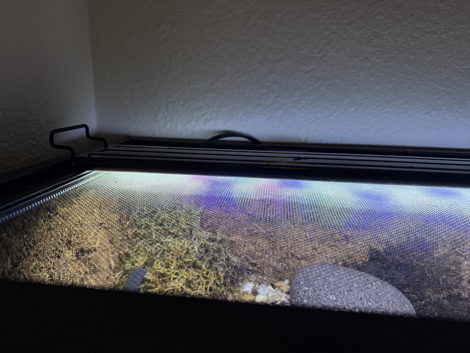 AQUANEAT LED Aquarium Light Full Spectrum for 18-24 Inch Fish Tank Light Fresh Water customer photo 1