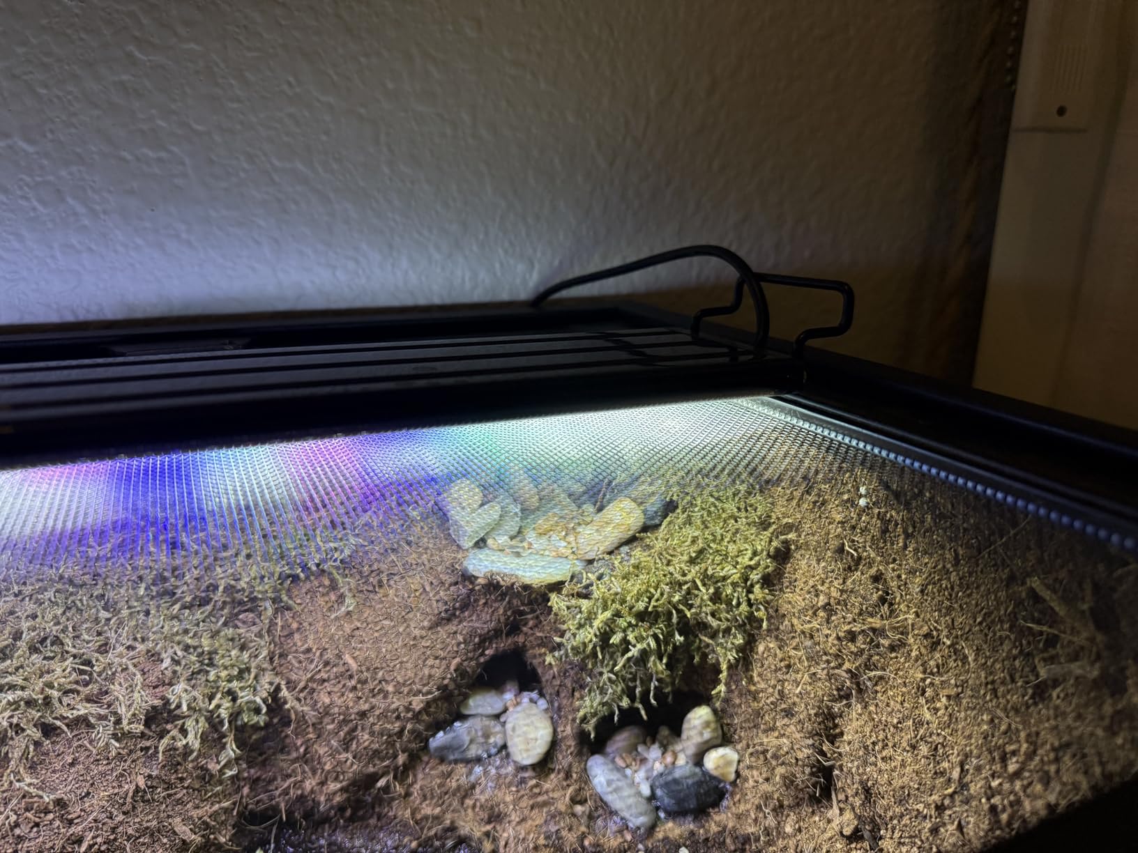AQUANEAT LED Aquarium Light Full Spectrum for 18-24 Inch Fish Tank Light Fresh Water customer photo 2
