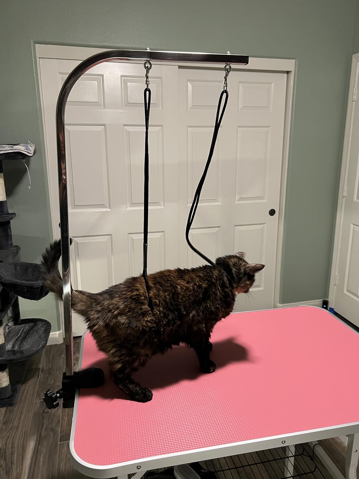 Topeakmart Folding Dog Grooming Table - Professional Pet Cat Trimming Table w/Adjustable Arm Clamp/Noose/Mesh Tray L36in x W24in x H30in Black Maximum Capacity Up to 220lbs customer photo 2