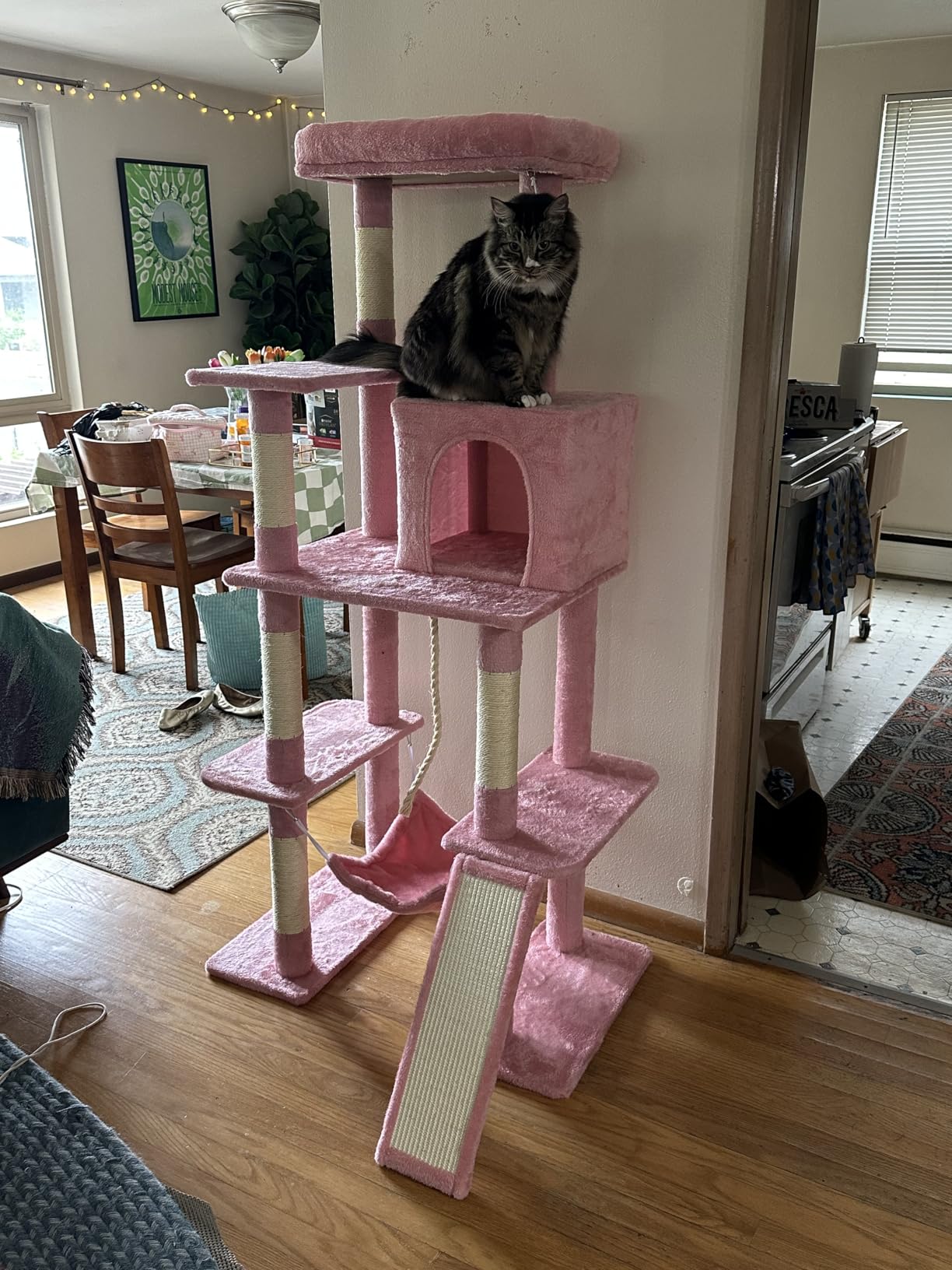 Yaheetech 63in Large Cat Tree for Heavy Cats up to 22lbs, Anti-Wobble Tower with Condo & Hammock, Space-Saving for Indoor Multi-Pet Households, Stops Furniture Scratching customer photo 2