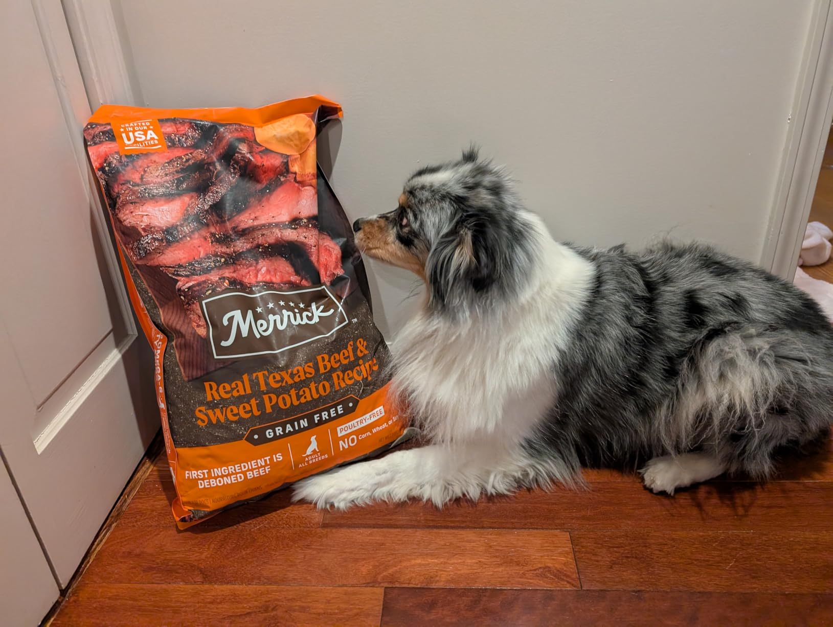 Merrick Premium Grain Free Dry Adult Dog Food, Real Beef and Sweet Potato - 4.0 lb. Bag customer photo 2