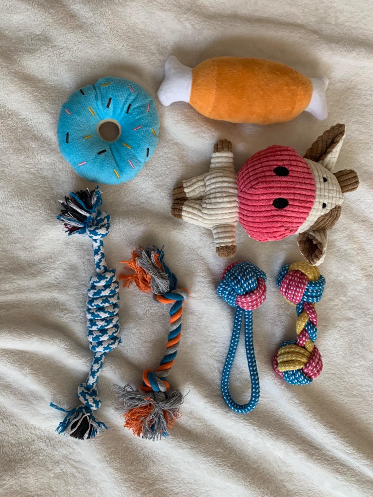 Toozey 7 Pack Small Dog Toys, Puppy Teething Toys, Durable Ropes Chew Toys, Cute Calf Squeaky Dog Toys, Non-Toxic and Safe customer photo 2