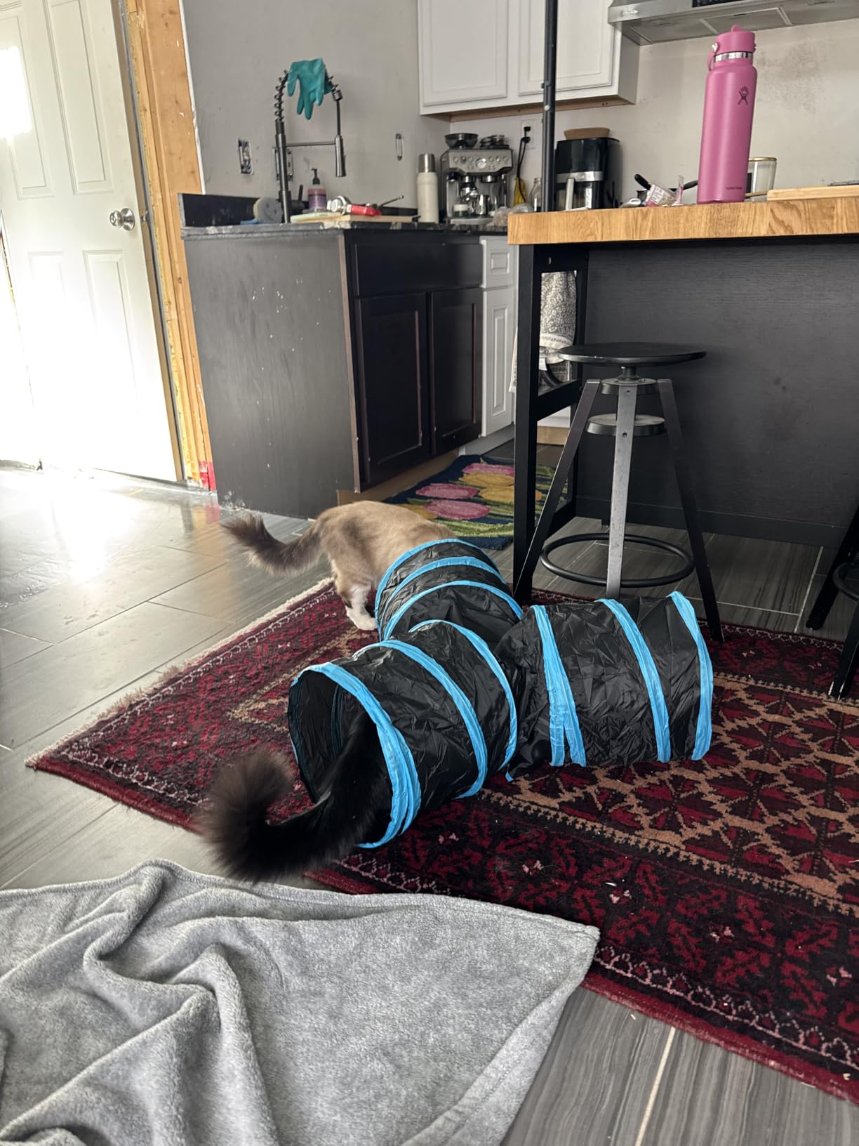 Tempcore Pet Cat Tunnel Tube Toys 3 Way Collapsible, Tunnels for Indoor Cats, Interactive Tube with Teaser Wand, Peek Holes & Hanging Ball customer photo 1