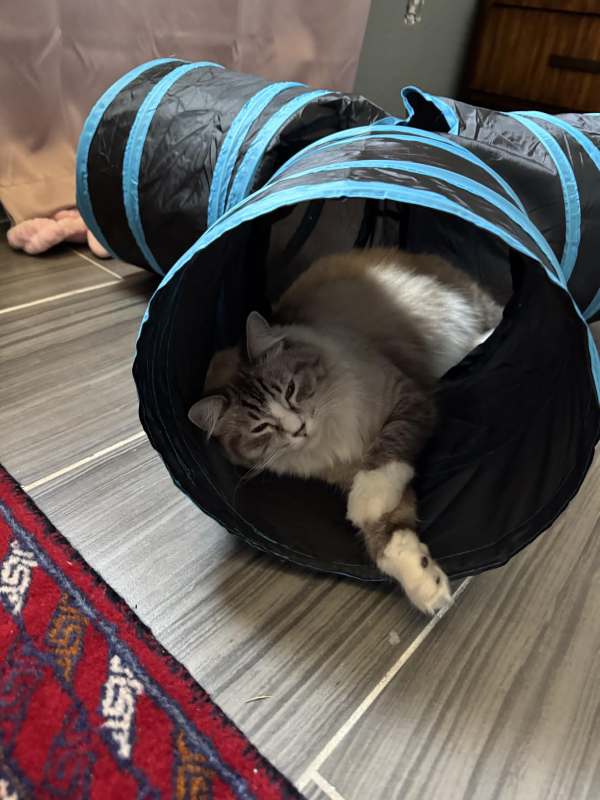 Tempcore Pet Cat Tunnel Tube Toys 3 Way Collapsible, Tunnels for Indoor Cats, Interactive Tube with Teaser Wand, Peek Holes & Hanging Ball customer photo 2