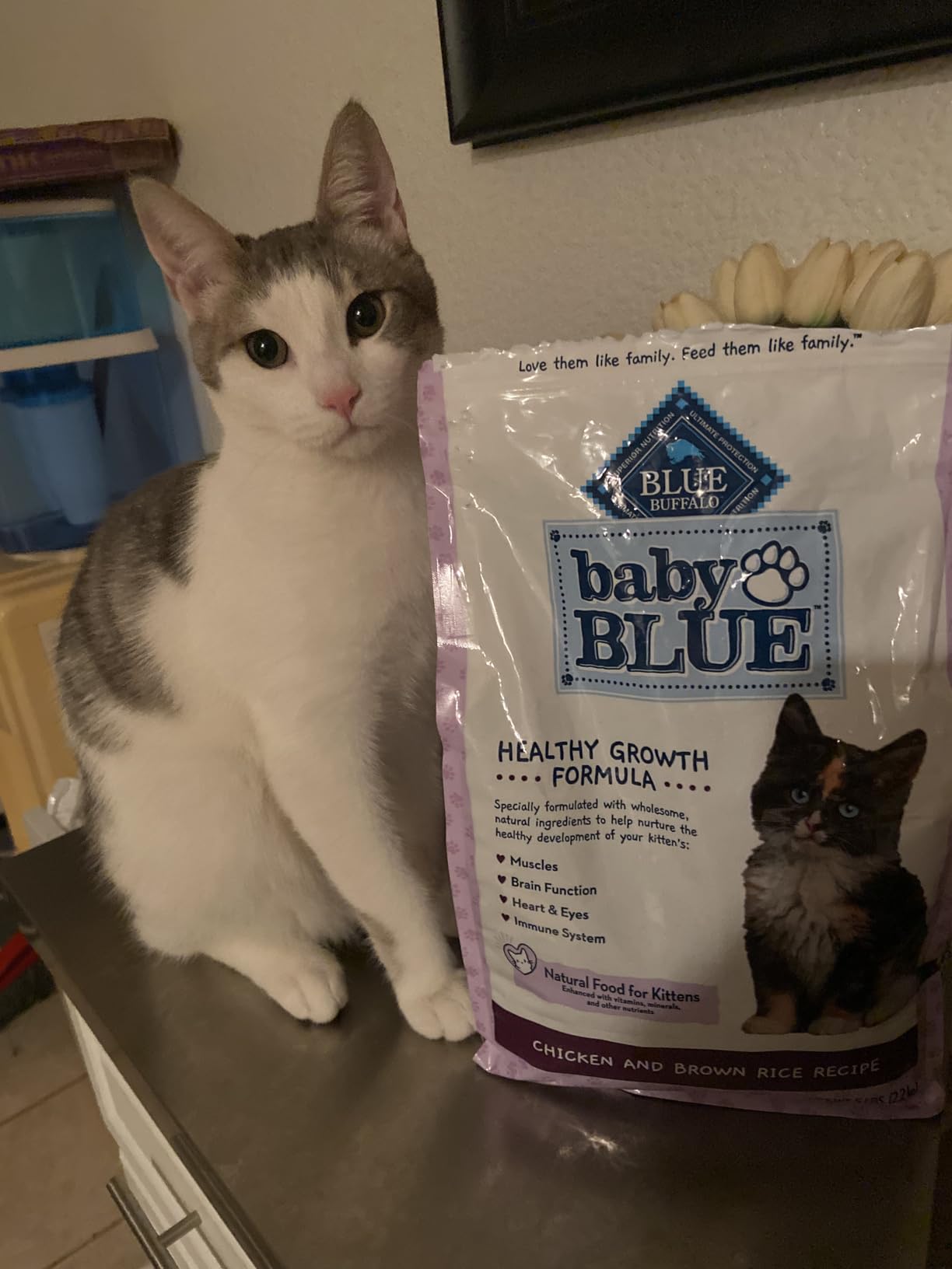Blue Buffalo Baby Blue Natural Dry Food for Kittens, Healthy Growth Formula with DHA, Chicken and Brown Rice Recipe, 5-lb Bag customer photo 1