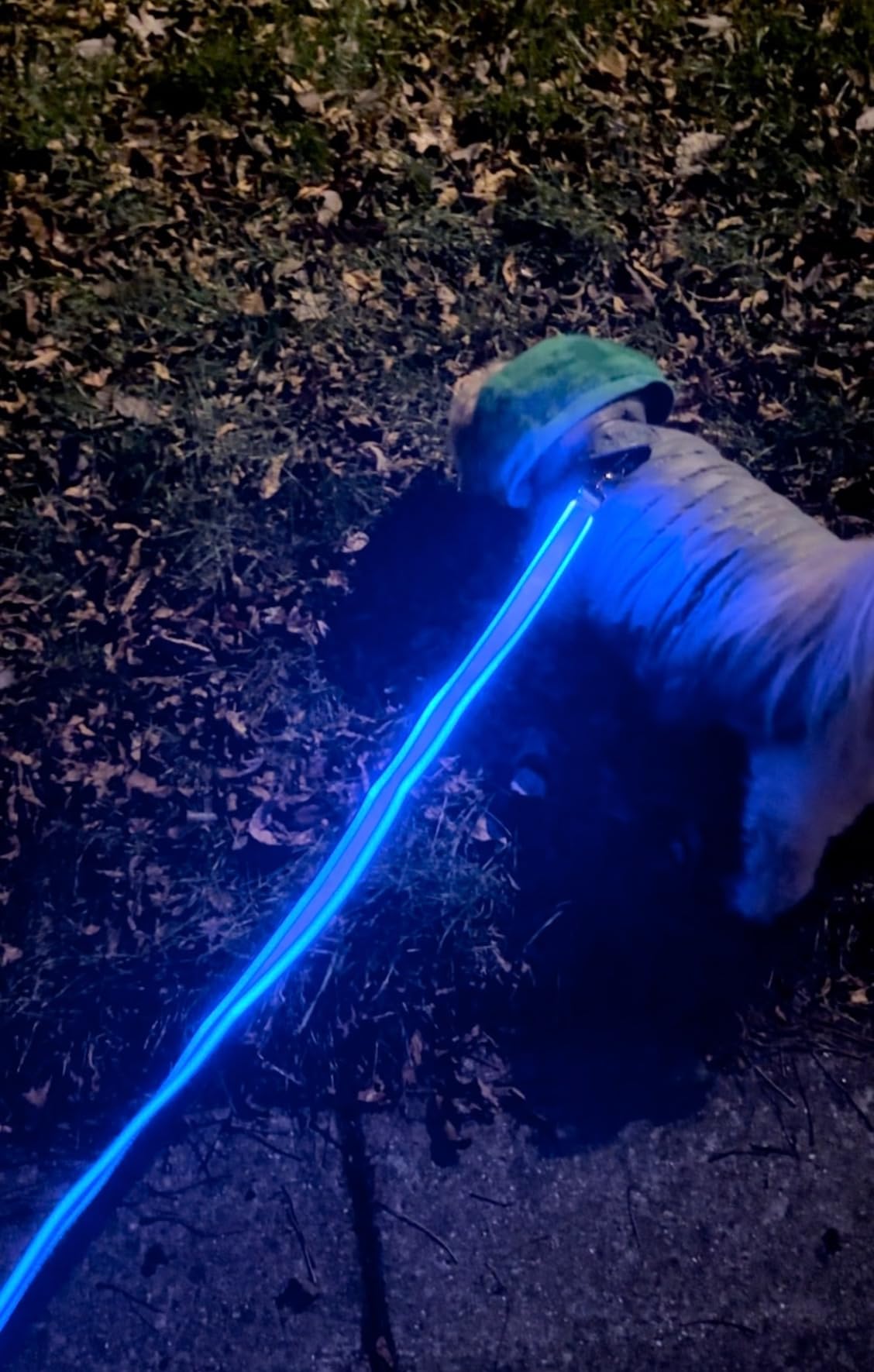 Nite IZE NiteDog Rechargeable LED Leash - Rechargeable LED Light Dog Leash with Padded Handle - Dog Walking Accessories for Walking & Running - 5 Feet, Blue customer photo 2