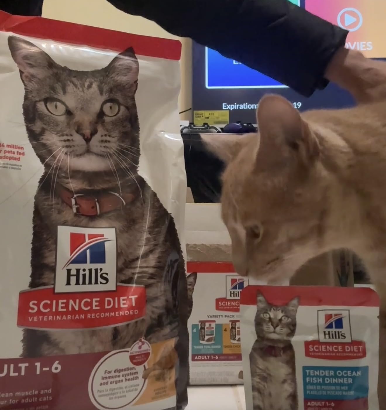 Hill's Science Diet Adult 1-6 Wet Cat Food Variety Pack, Chicken, Tuna, & Ocean Fish, 2.8 oz. Pouches, 12-Pack customer photo 2