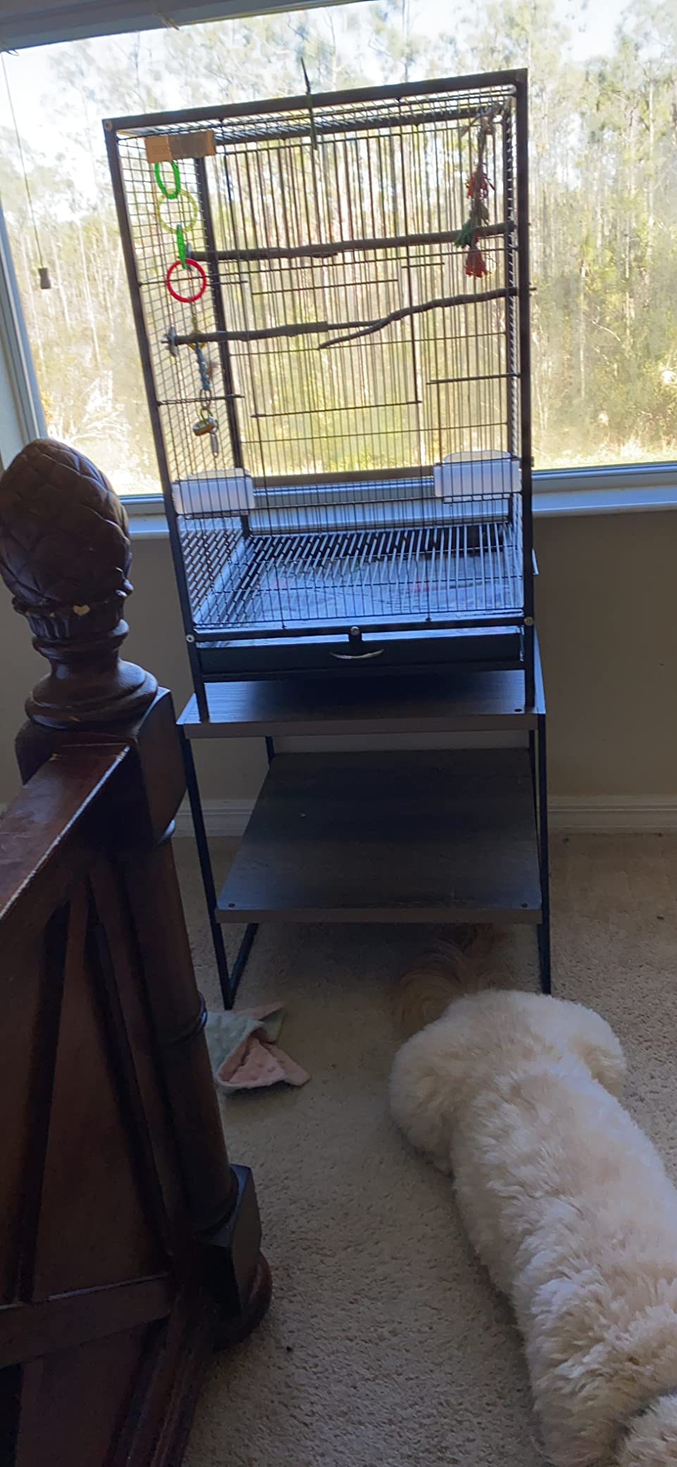 VIVOHOME 30 Inch Height Wrought Iron Bird Cage with Rolling Stand for Conures Lovebirds Cockatiels Finches, Black customer photo 1
