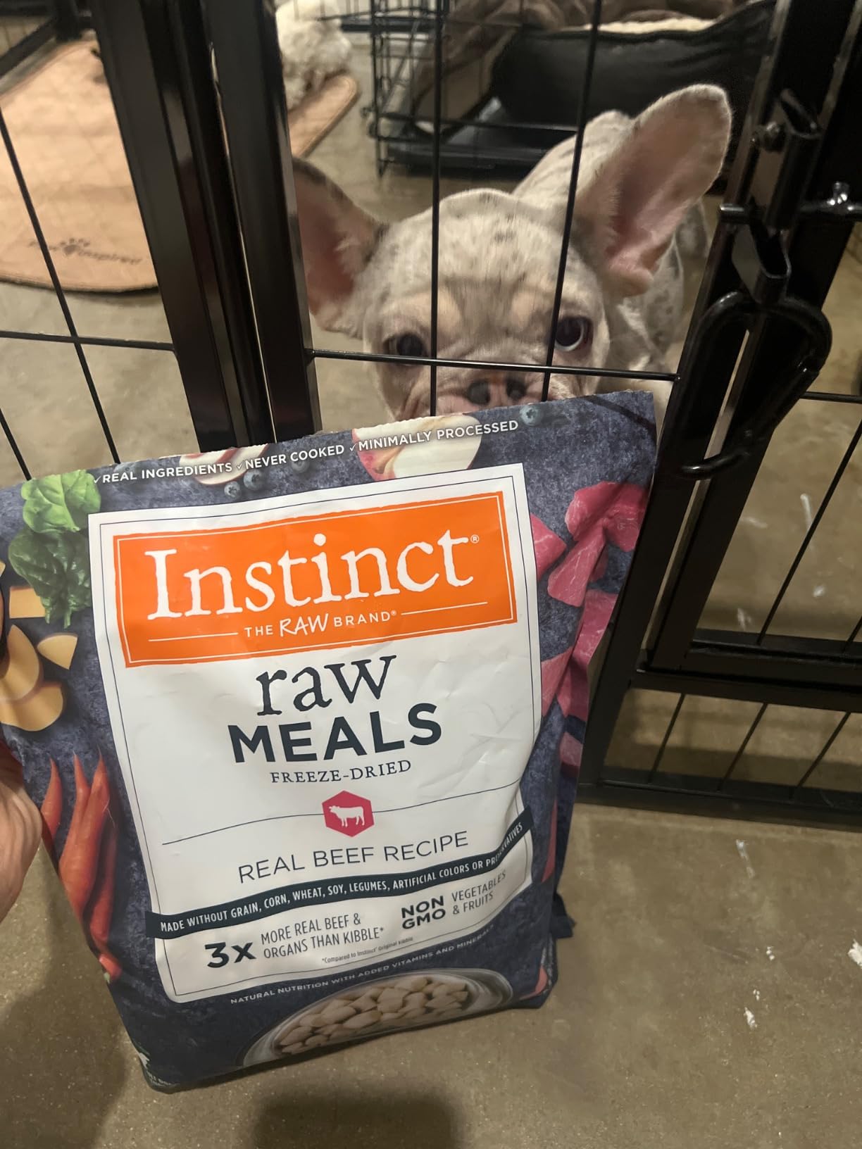 Instinct Freeze-Dried Meals, FreshDried Bites, Natural Dog Food, Grain-Free - Grass-Fed Beef, 25 oz. Bag customer photo 2
