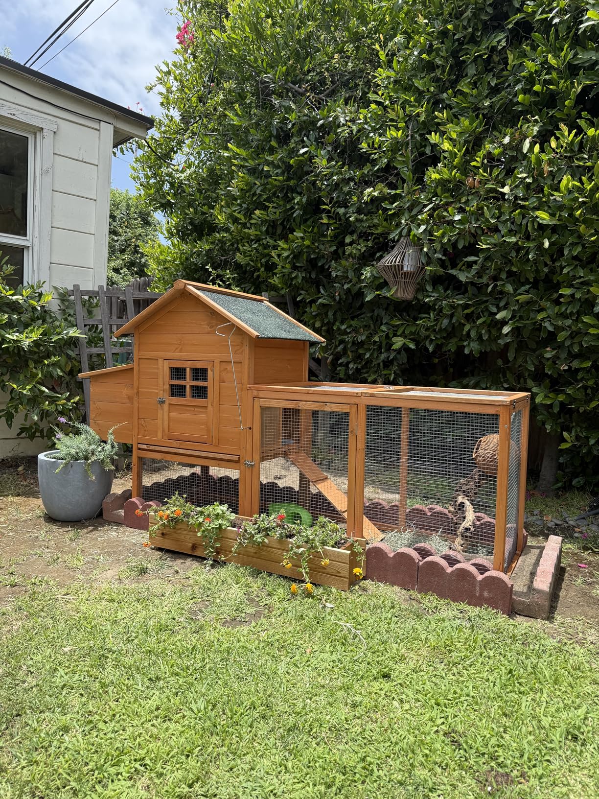 GOJOOASIS Wooden Chicken Coop for 2-5 Chickens Outdoor Wooden Hen House Poultry Pet Hutch for Backyard Outdoor w/Tray Run Cage & Nesting Box customer photo 1
