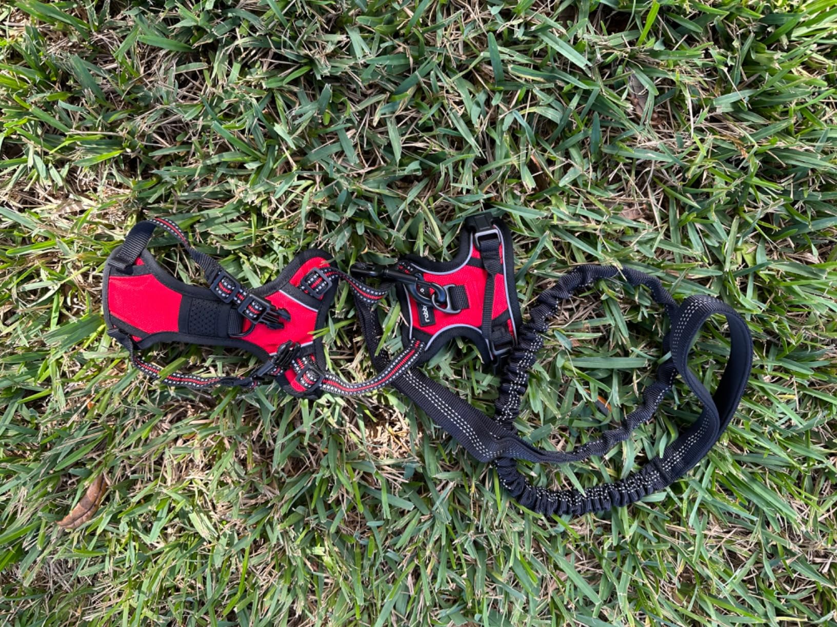 rabbitgoo Tactical Bungee Dog Leash with Shock Absorption, Military Training Leash with 2 Padded Control Handles for Medium Large Dogs, 5.2FT, Black customer photo 1