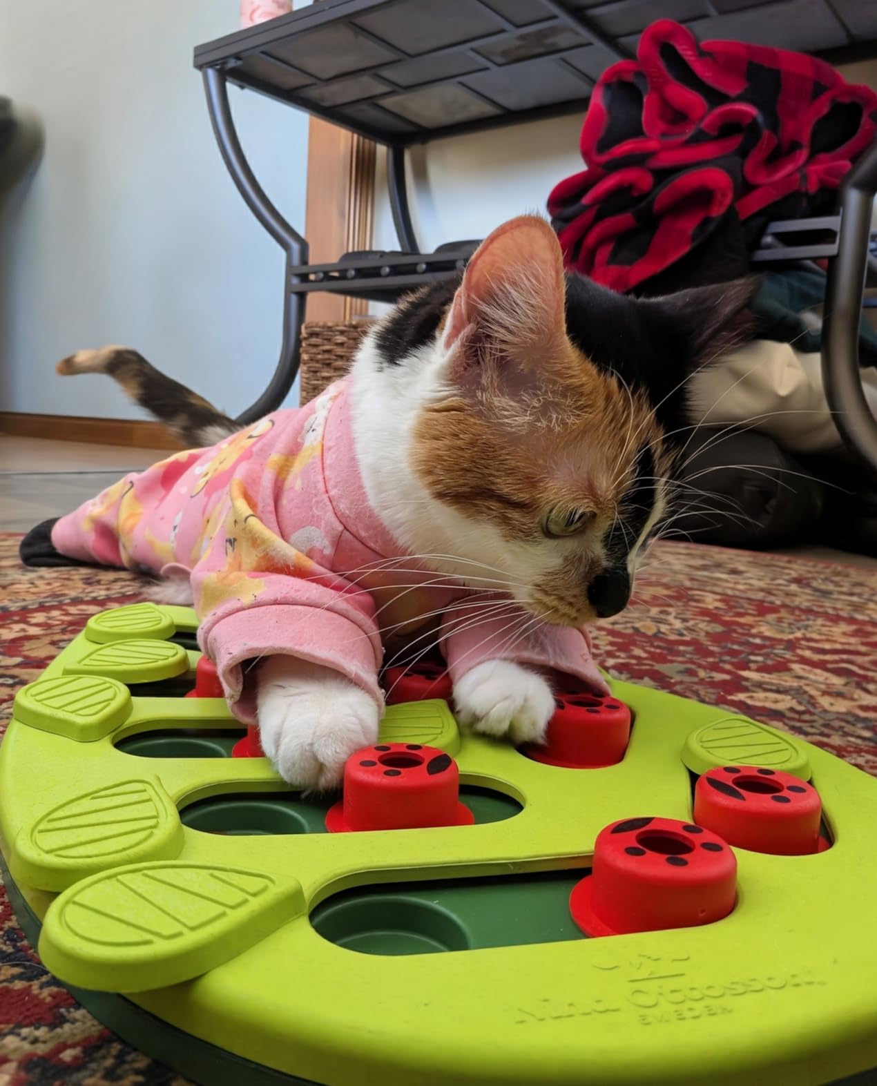Catstages Nina Ottosson Rainy Day Puzzle & Play Cat Puzzle Feeder, Interactive Treat Game for Indoor Cats, Level 3 Slow Feeder Enrichment Toy customer photo 1