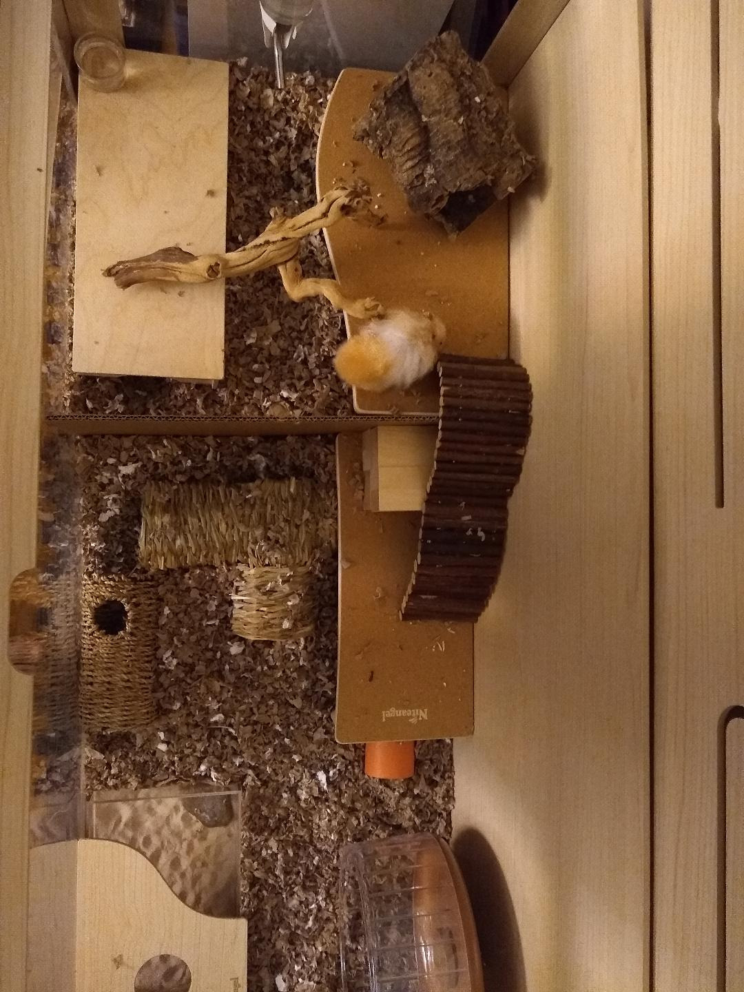 Niteangel Bigger World - MDF Aspen Terrarium for Hamster Gerbils Mice Lemming Degus or Other Small-Sized Pets (39.4 x 19.7 x 19.7 inches, Burlywood) customer photo 1