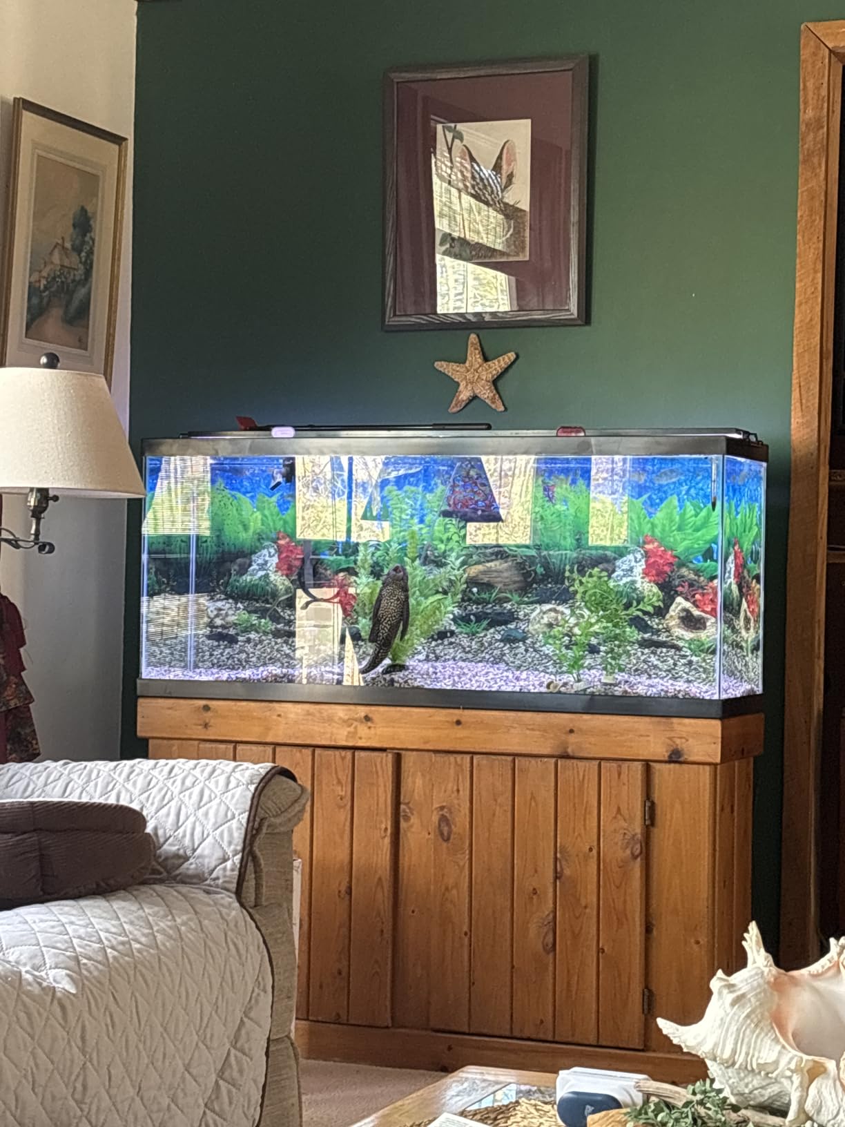 Tetra Glass Aquarium 29 Gallons, Rectangular Fish Tank customer photo 2
