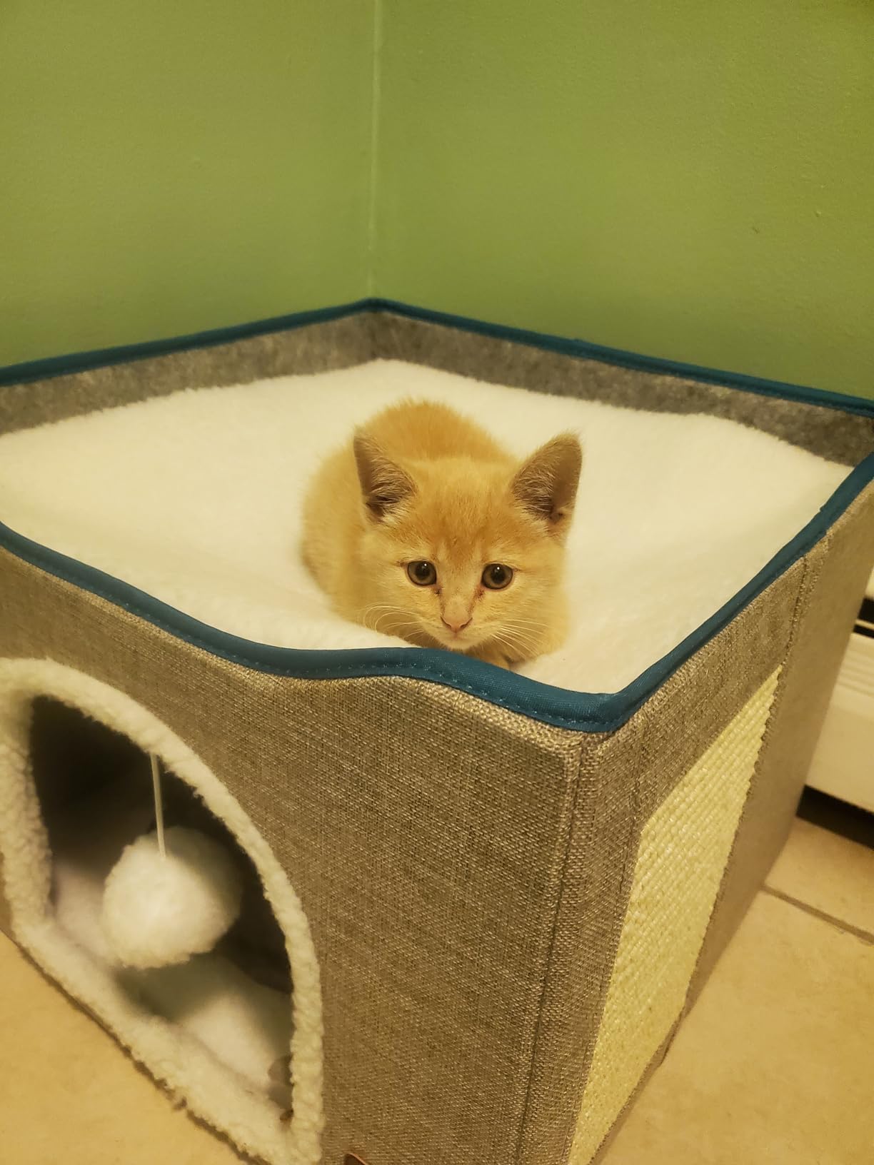 Bedsure Cat Beds for Indoor Cats - Large Cat Cave for Pet Cat House with Fluffy Ball Hanging and Scratch Pad, Foldable Cat Hideaway, 16.5x16.5x13 inches, Grey customer photo 1