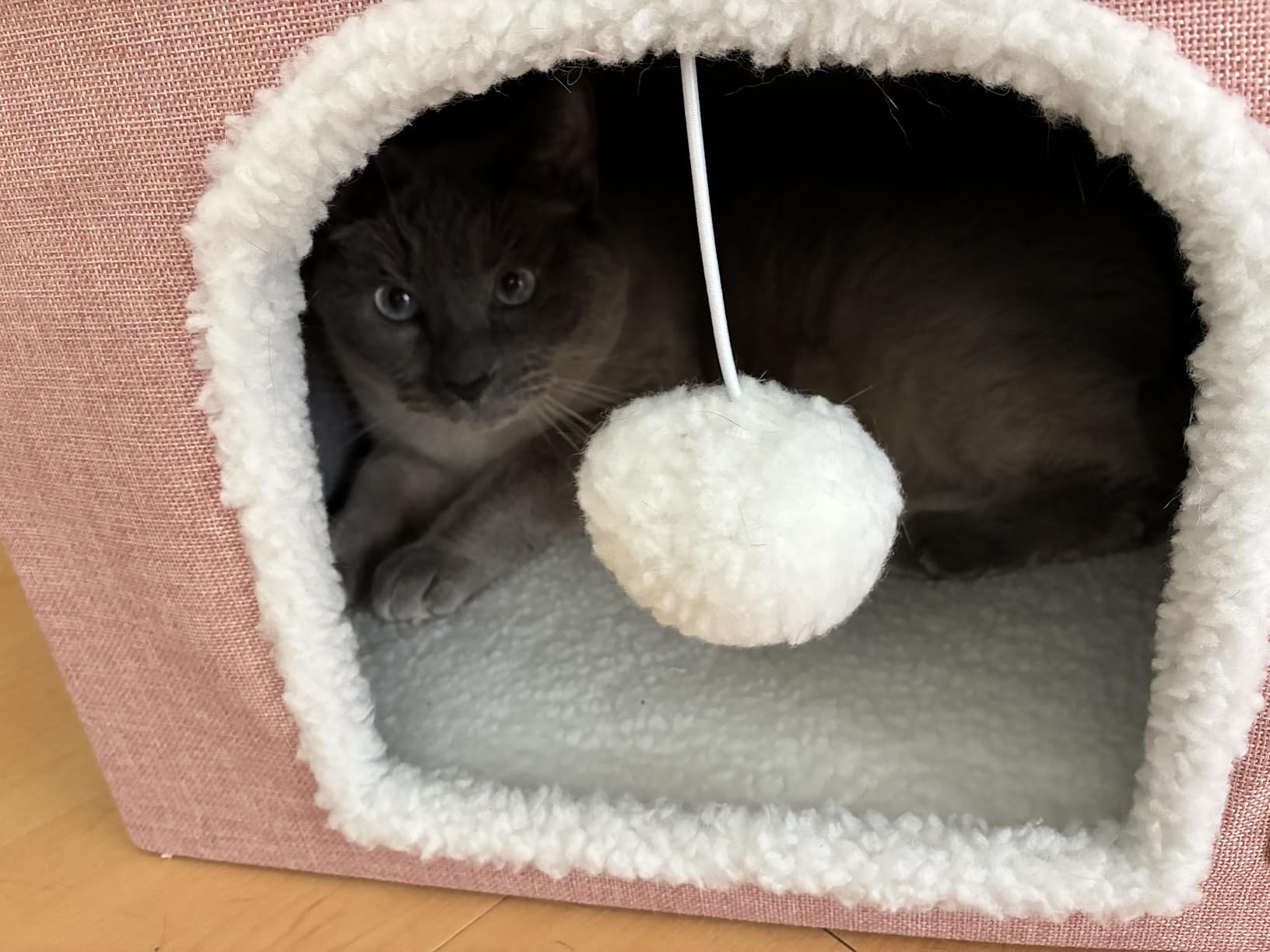 Bedsure Cat Beds for Indoor Cats - Large Cat Cave for Pet Cat House with Fluffy Ball Hanging and Scratch Pad, Foldable Cat Hideaway, 16.5x16.5x13 inches, Grey customer photo 2